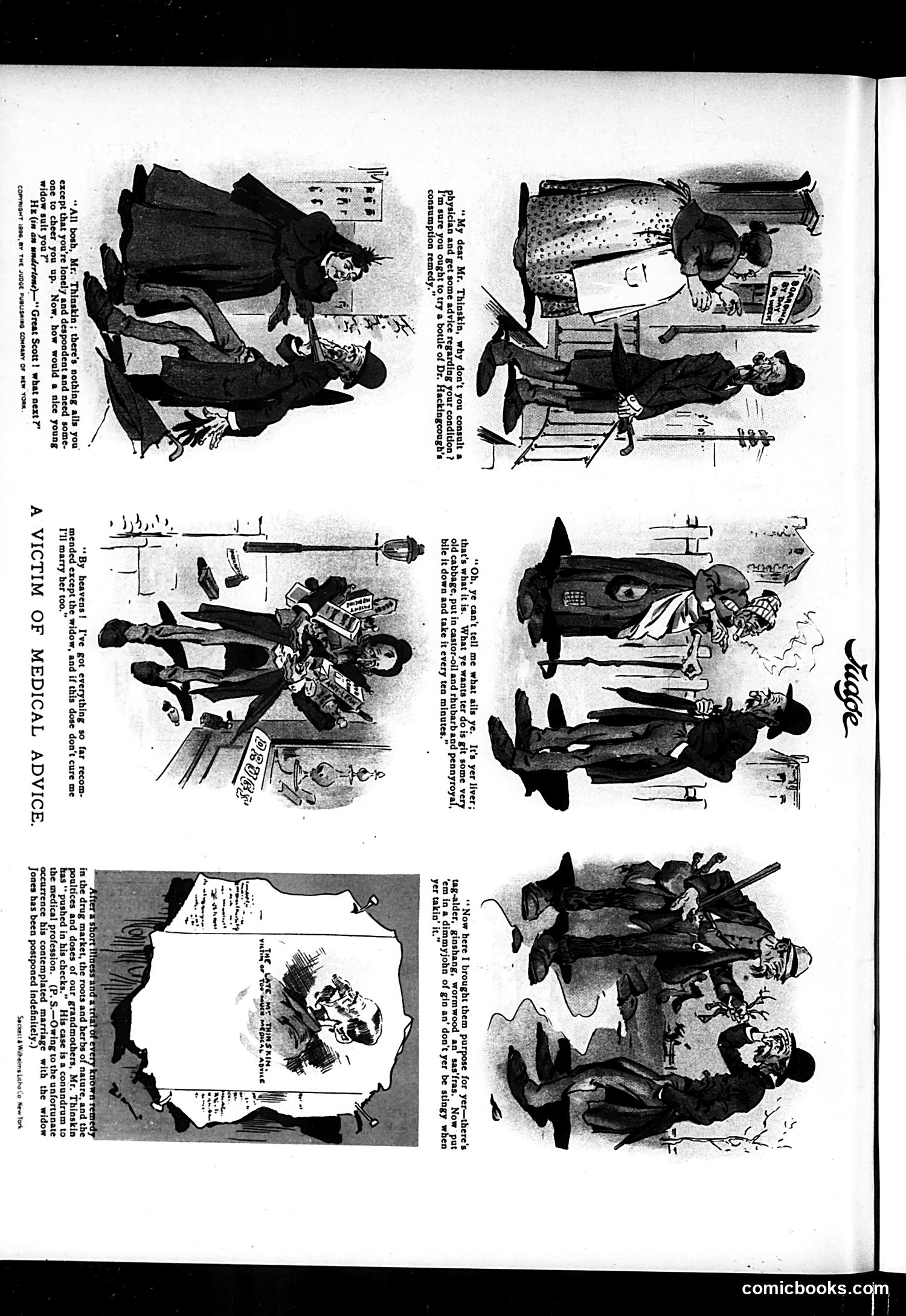Judge — November 21, 1896 — page 16 of 16
