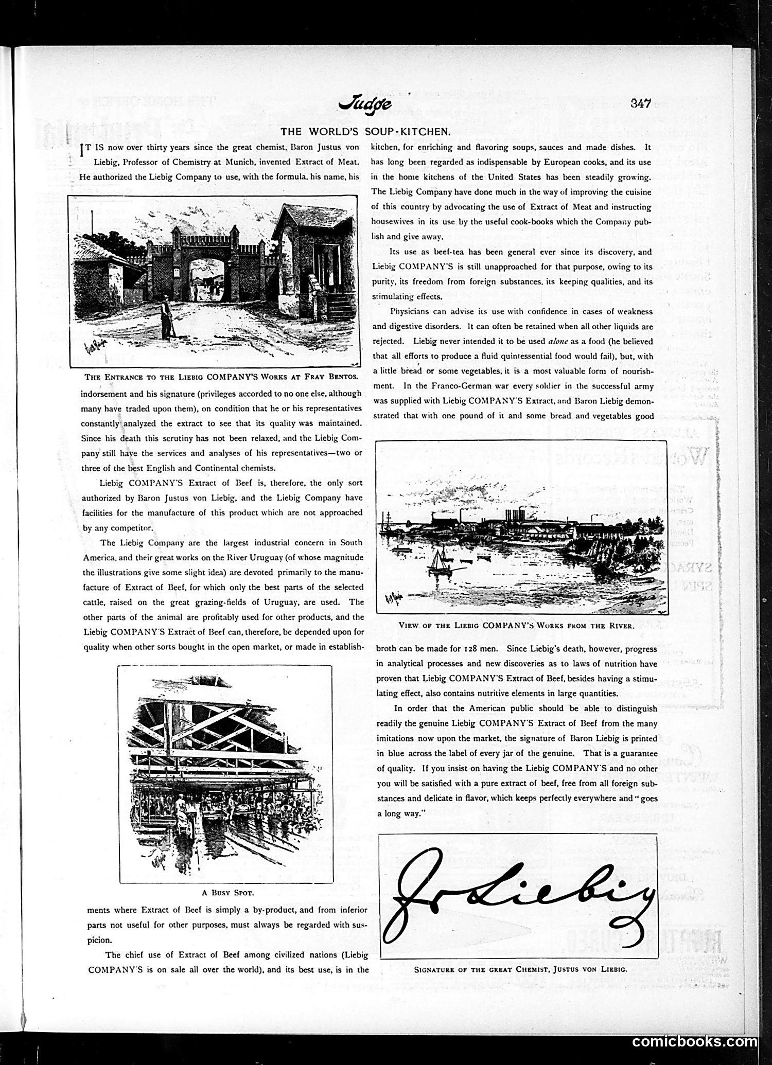 Judge — November 28, 1896 — page 11 of 16