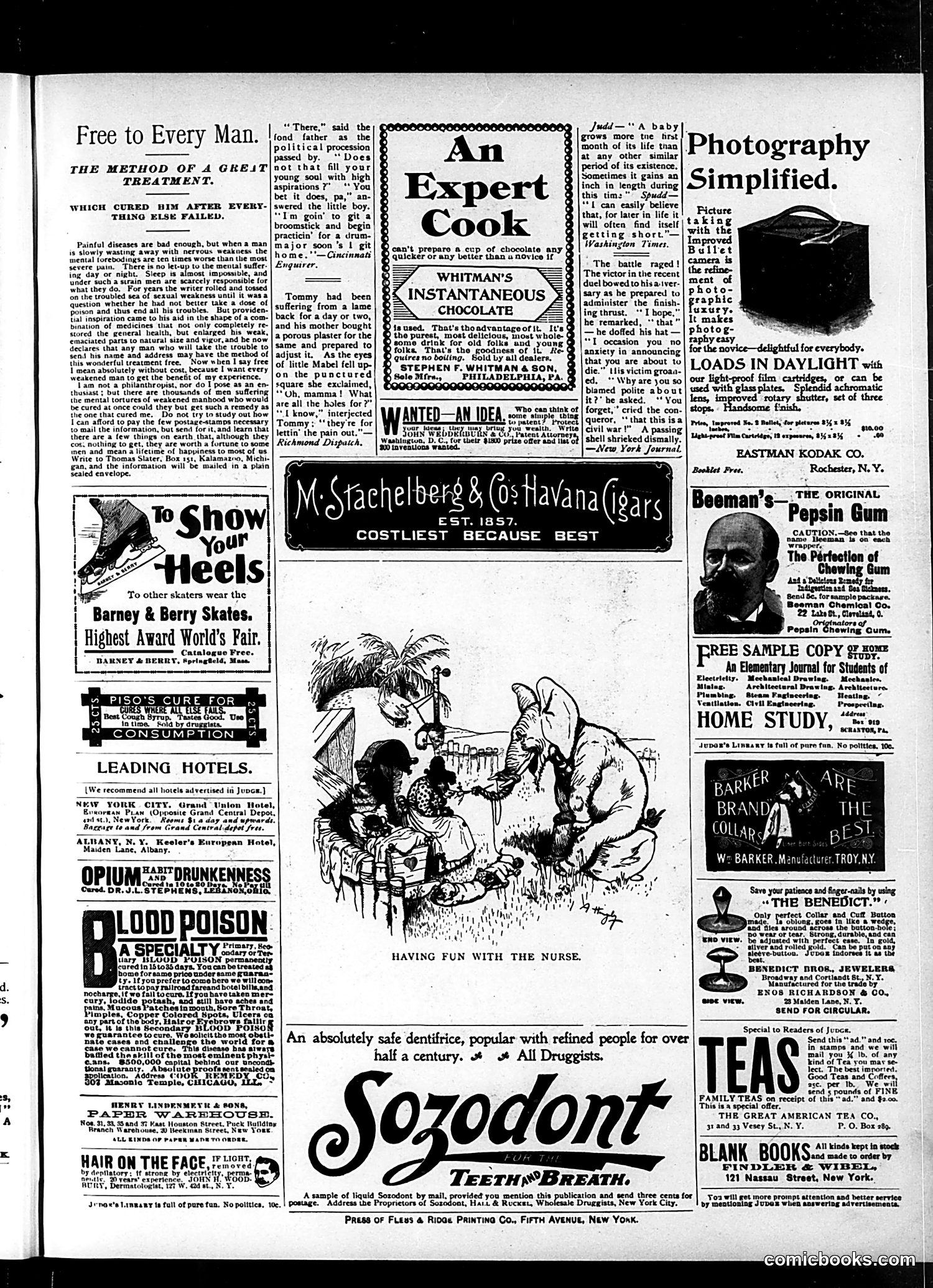 Judge — December 26, 1896 — page 15 of 17