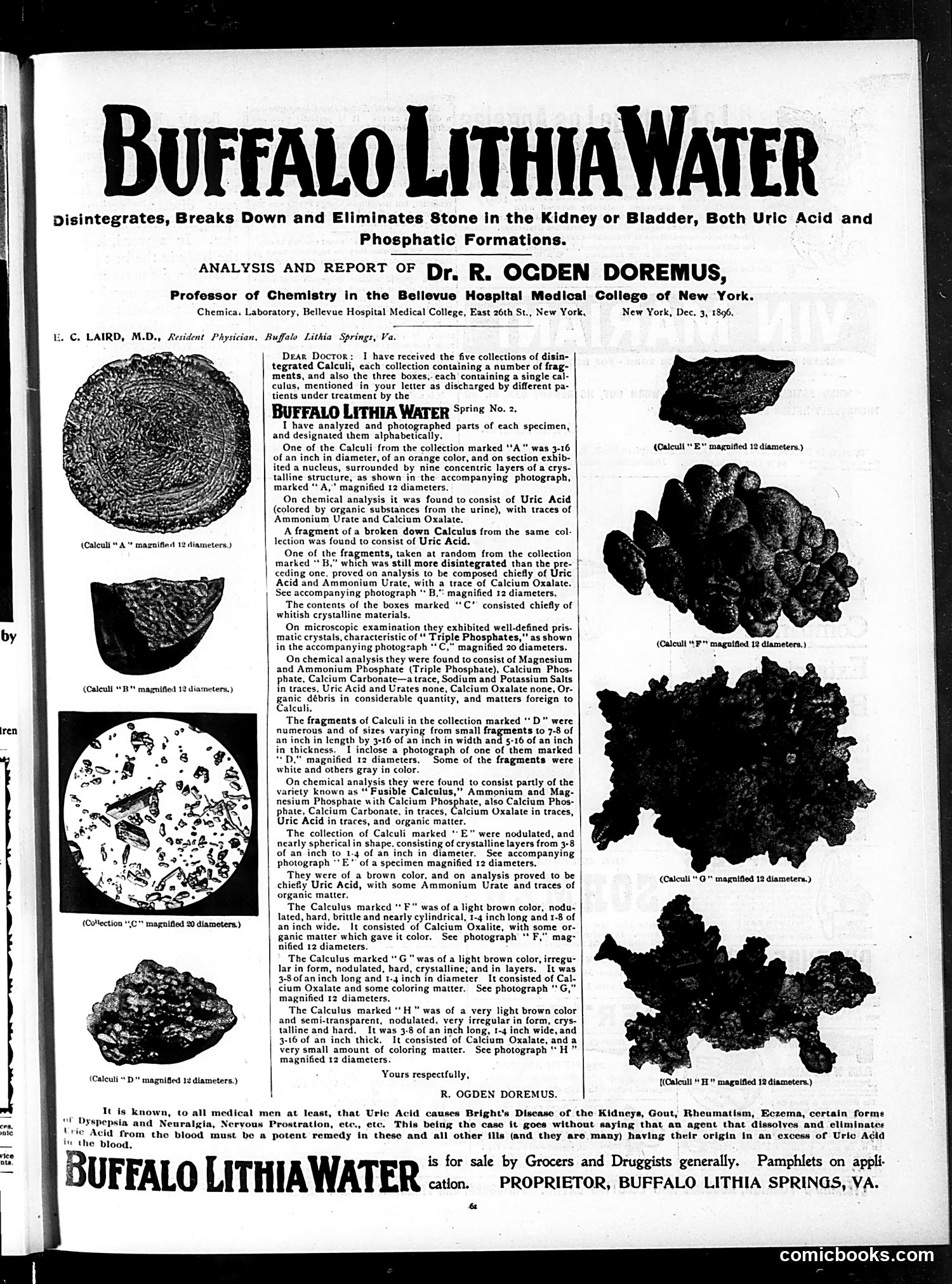 Judge — January 23, 1897 — page 13 of 16