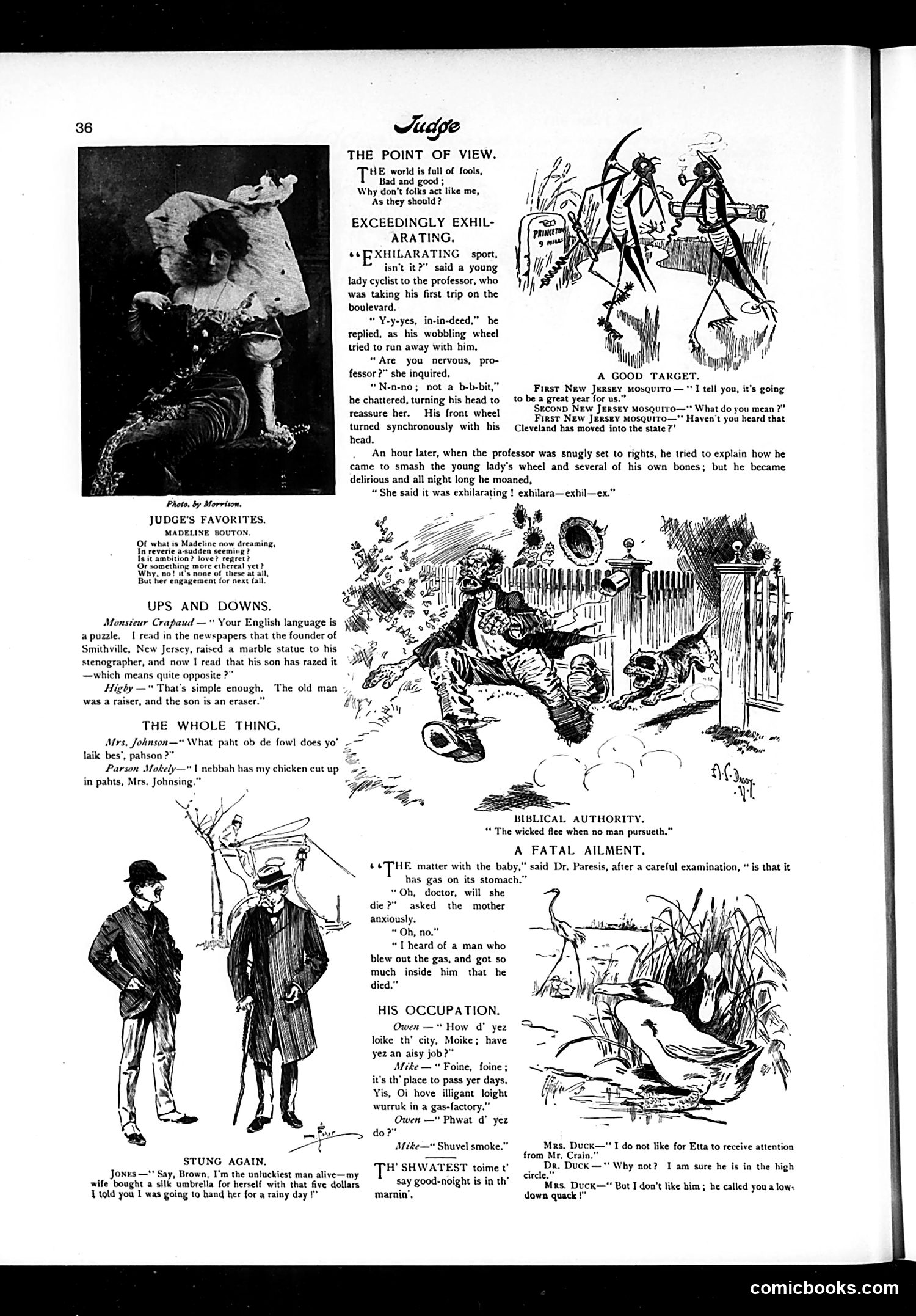 Judge — July 17, 1897 — page 4 of 16