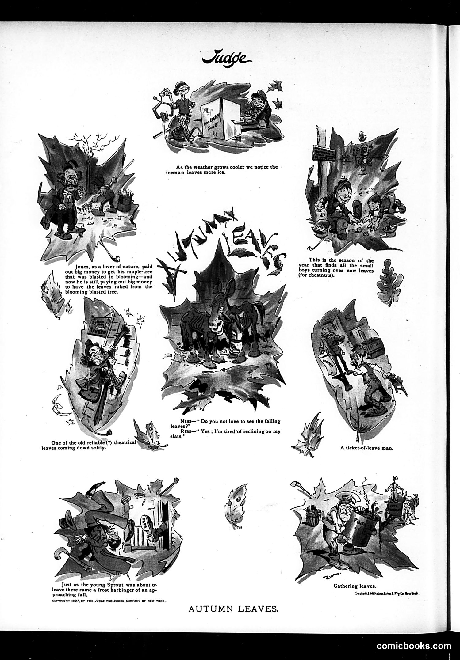 Judge — November 20, 1897 — page 16 of 16