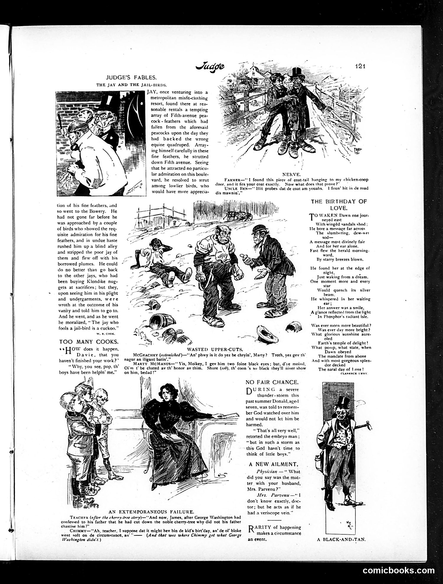Judge — February 19, 1898 — page 7 of 16