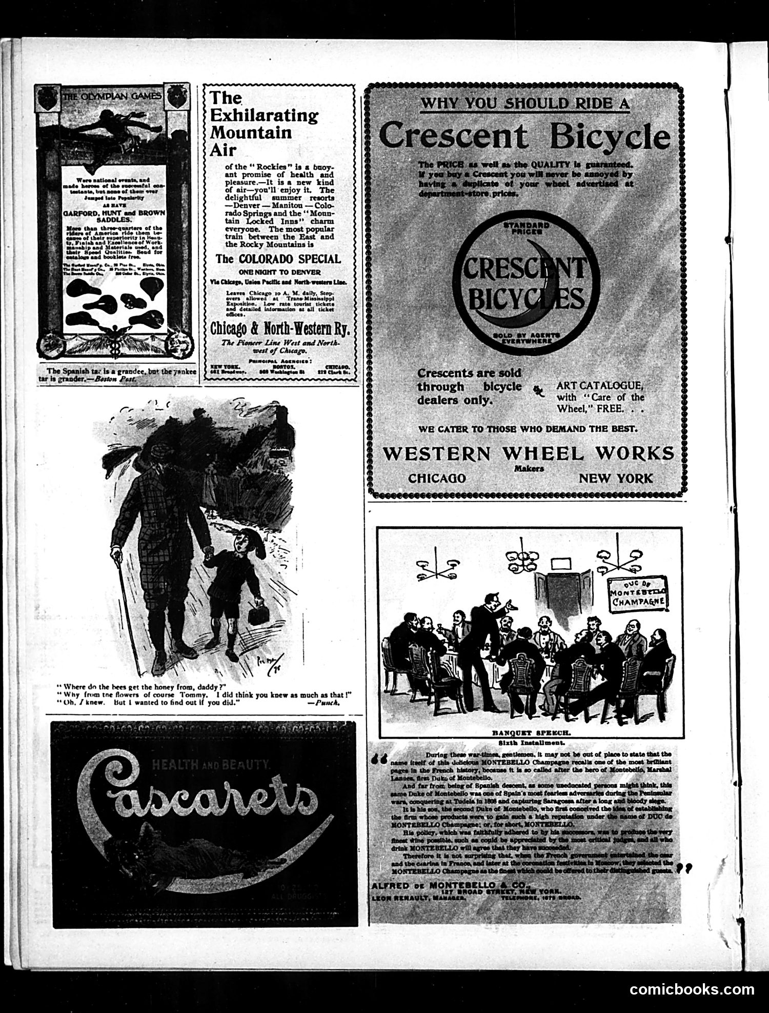 Judge — June 25, 1898 — page 12 of 17