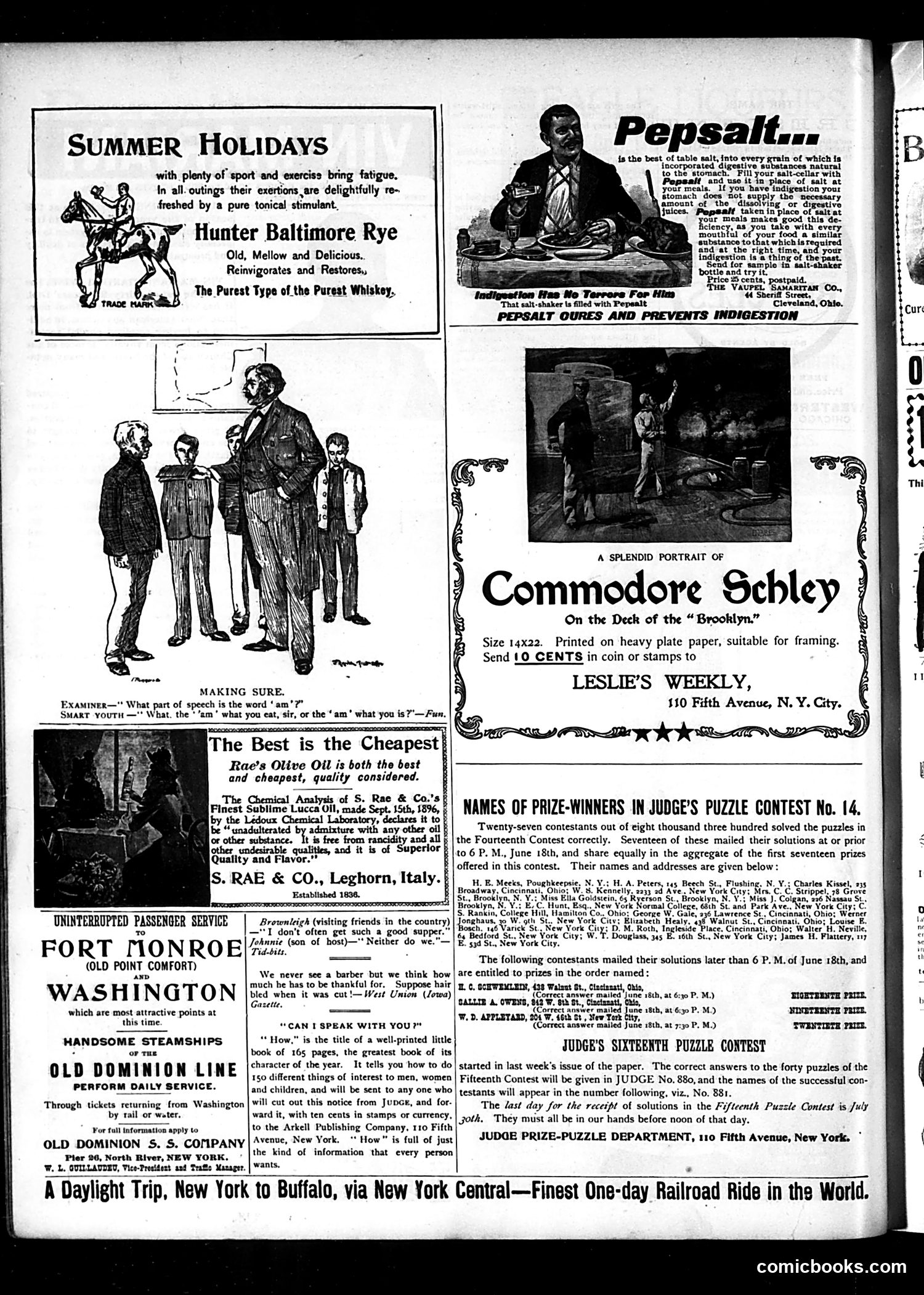 Judge — August 6, 1898 — page 14 of 16