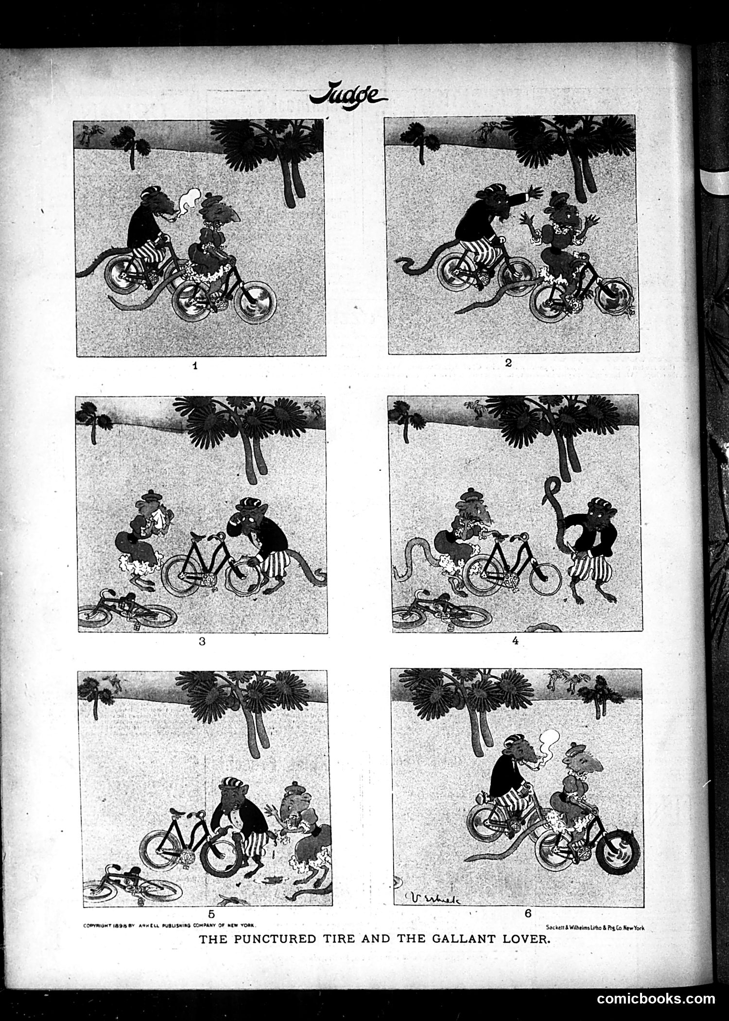 Judge — December 17, 1898 — page 16 of 16