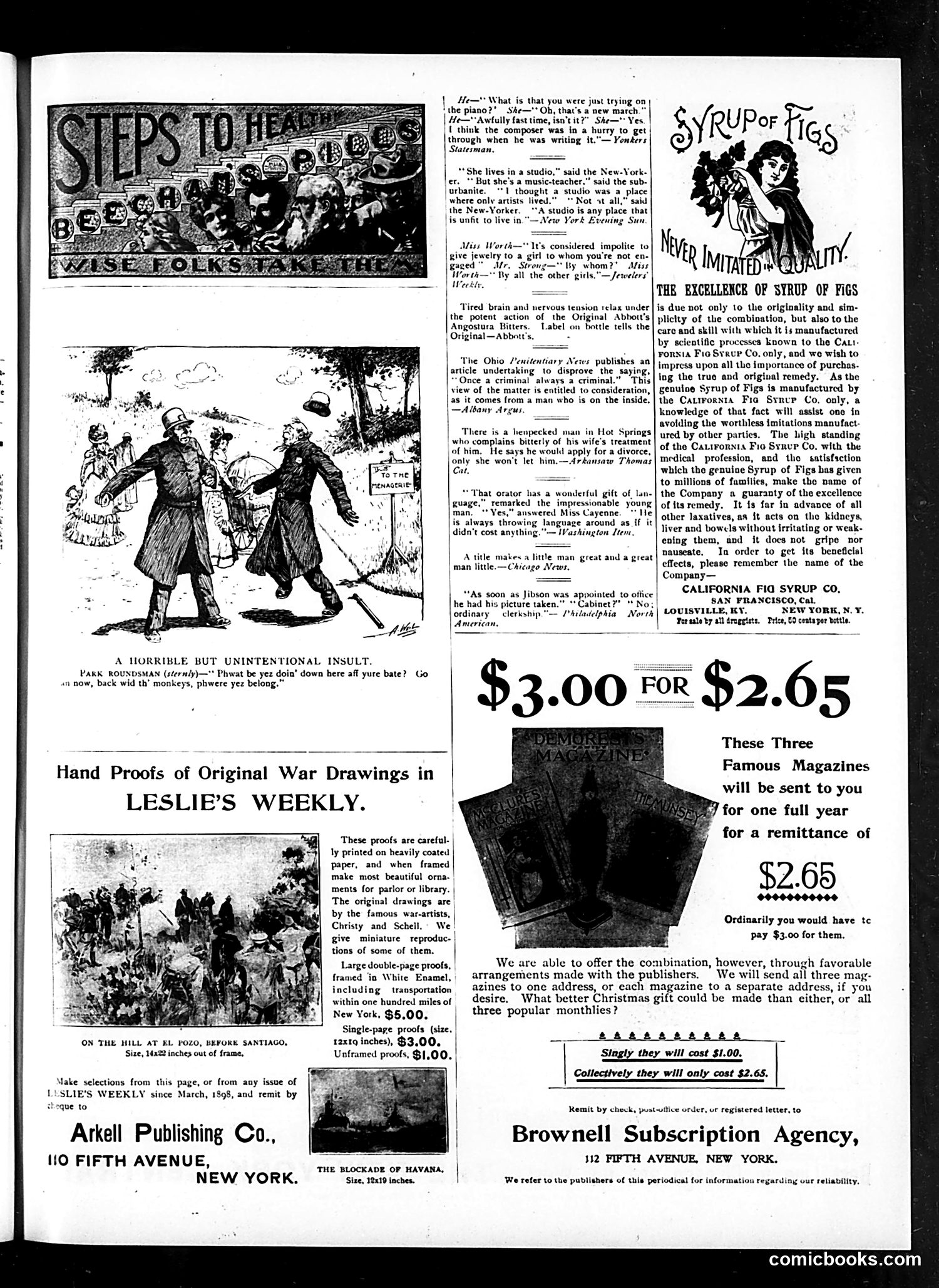 Judge — February 11, 1899 — page 13 of 16
