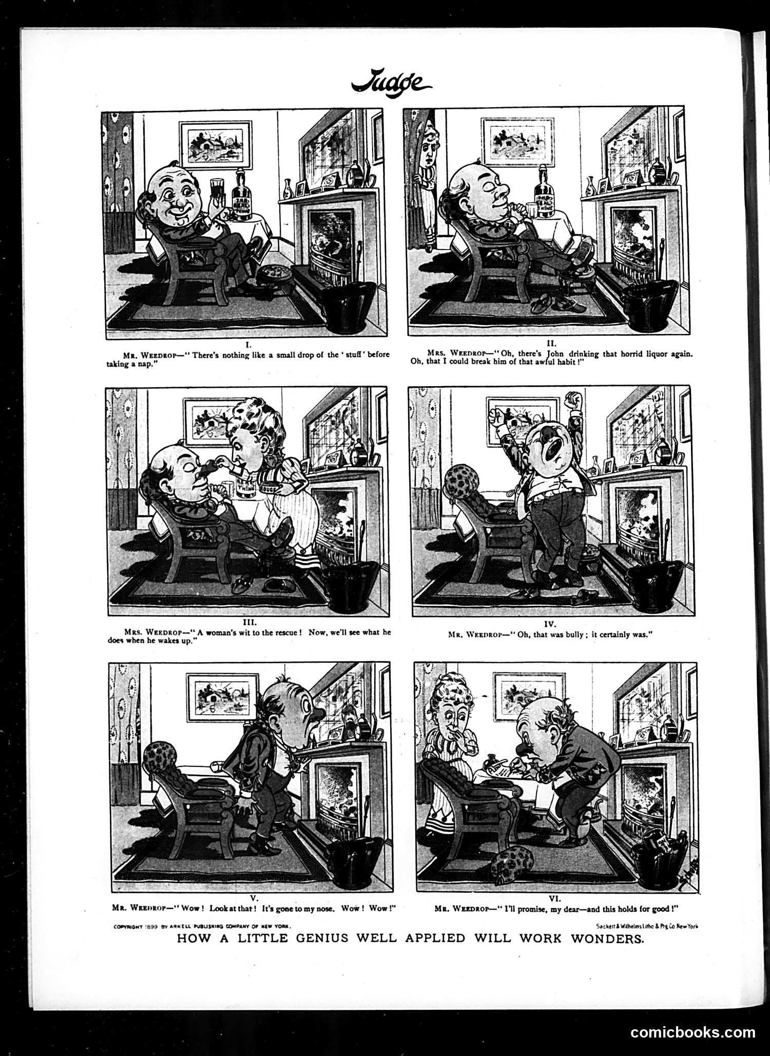 Judge — February 25, 1899 — page 22 of 22