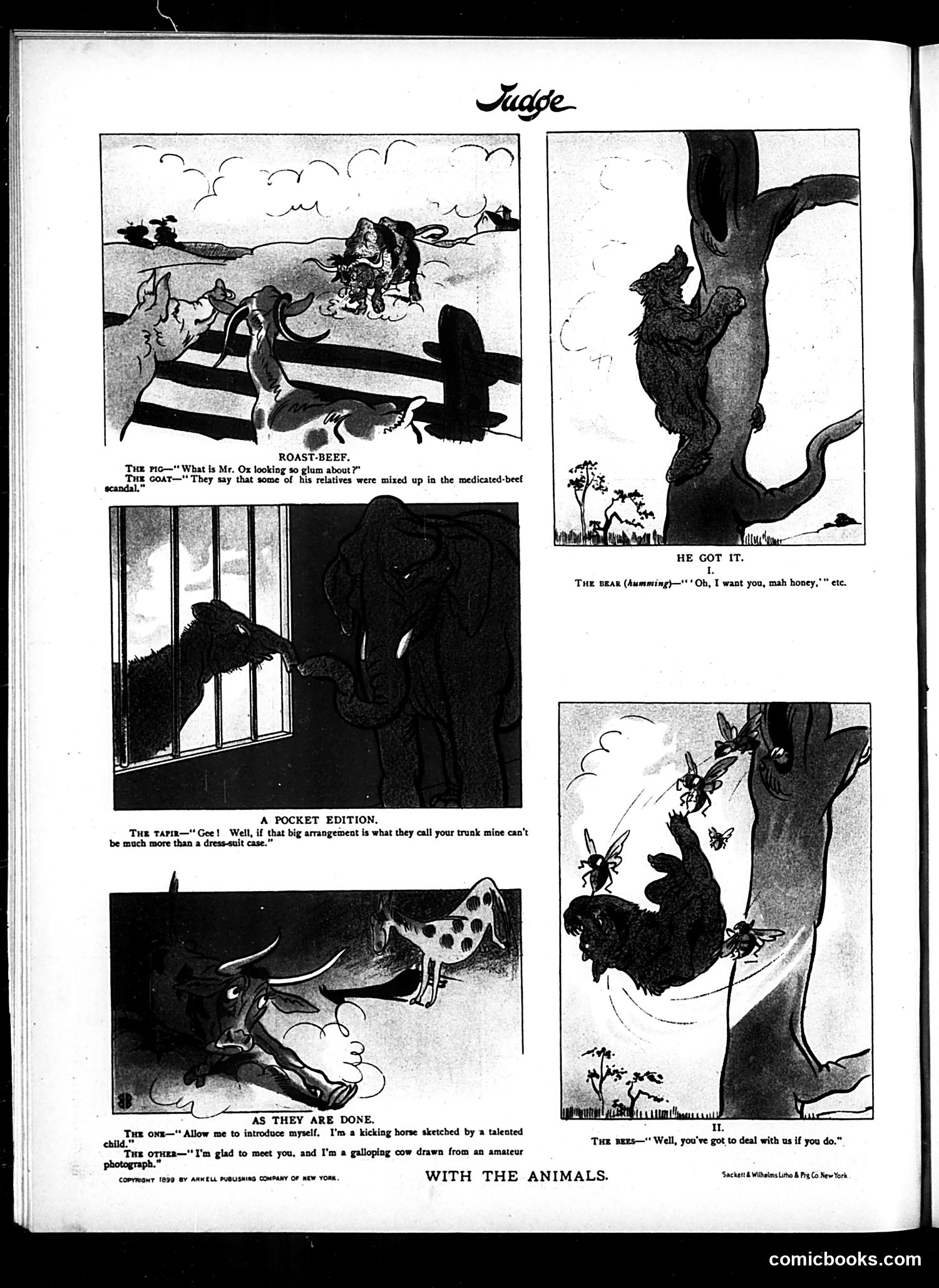 Judge — March 11, 1899 — page 16 of 16