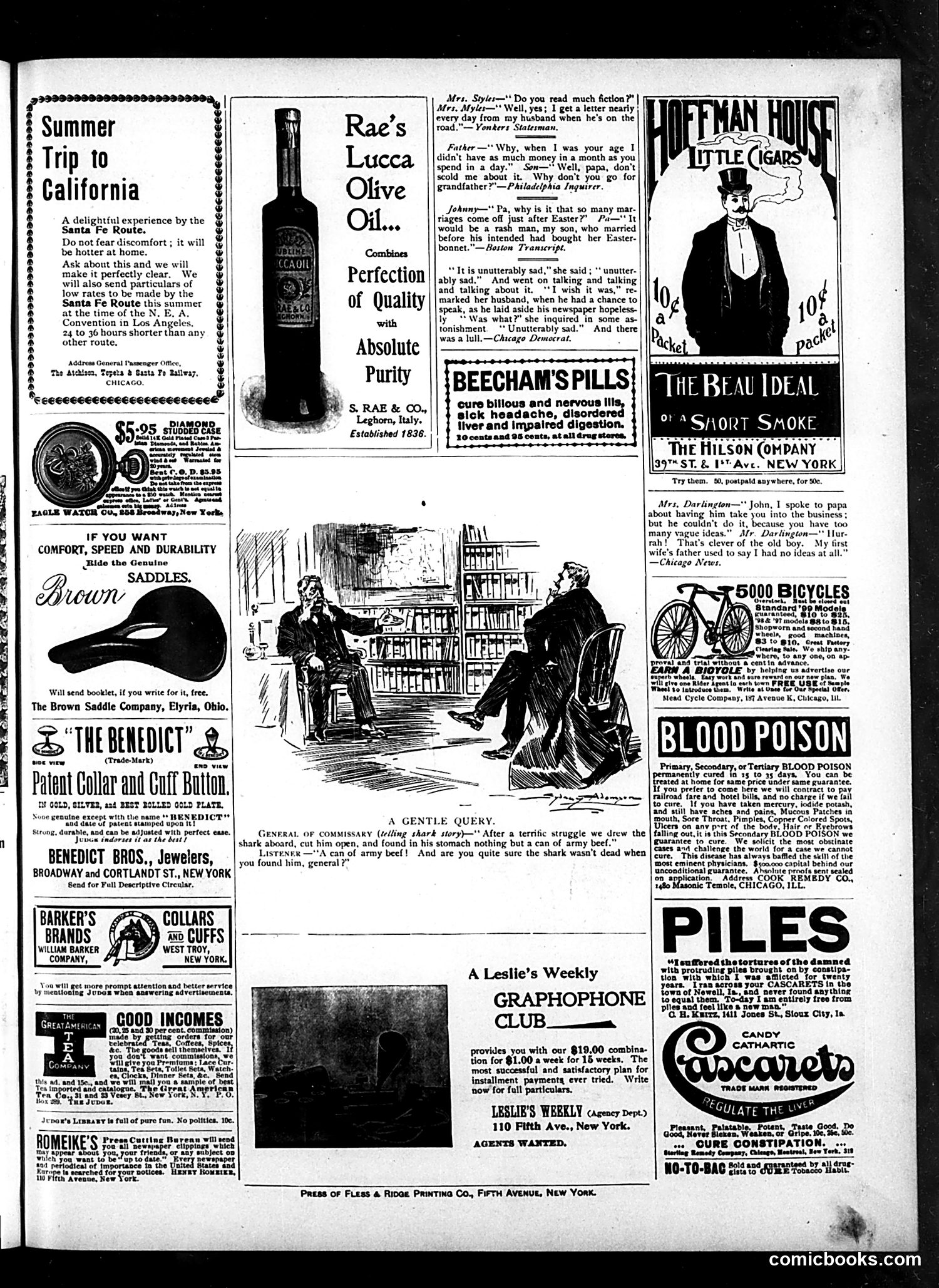 Judge — June 17, 1899 — page 15 of 16