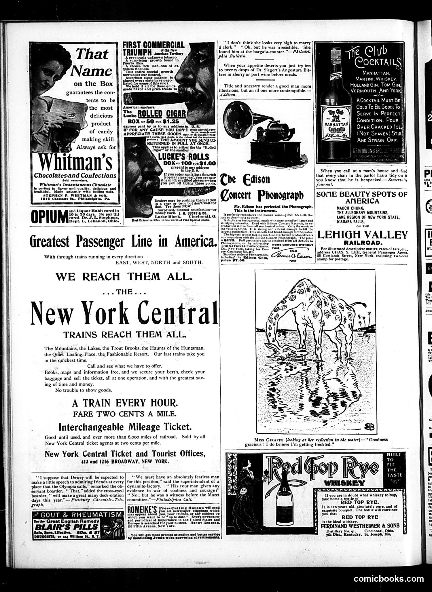 Judge — July 8, 1899 — page 16 of 20