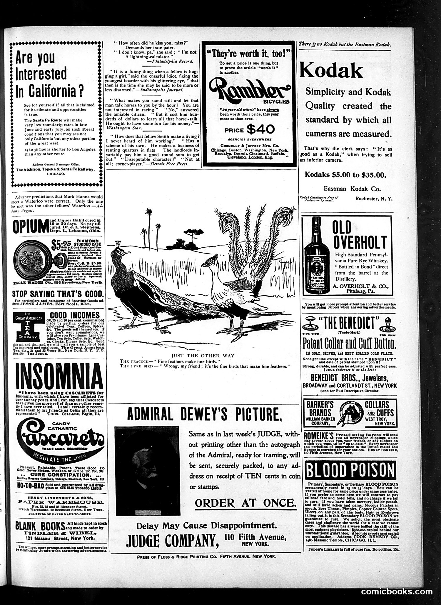 Judge — July 15, 1899 — page 15 of 16