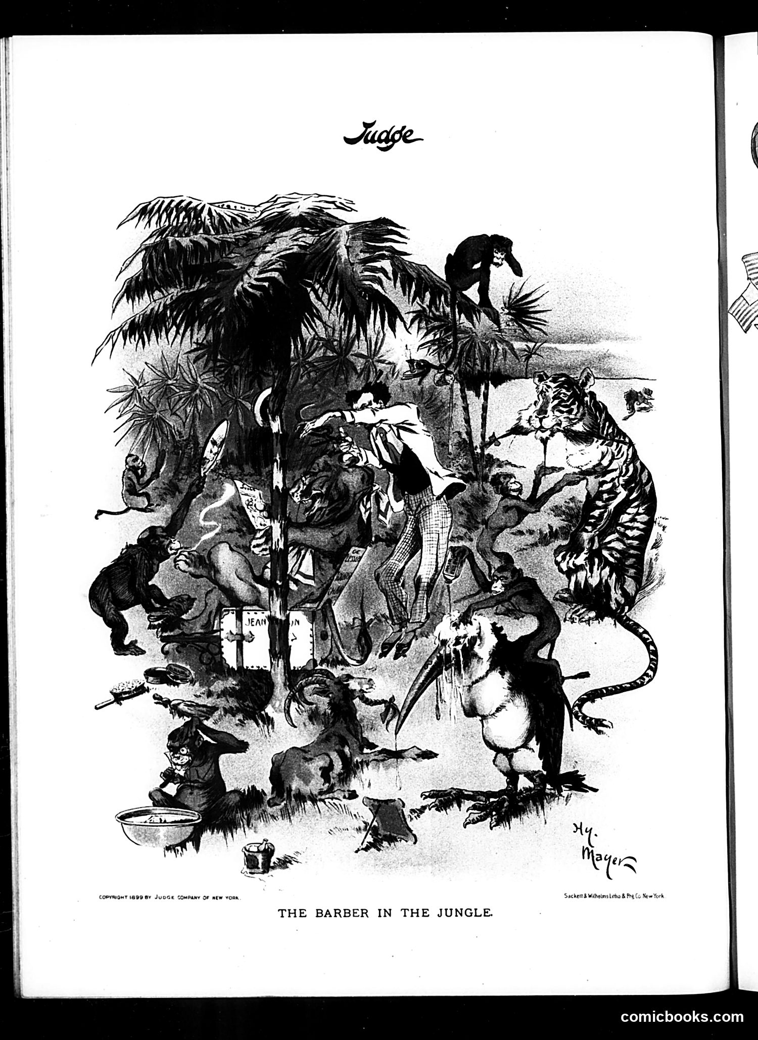 Judge — July 22, 1899 — page 16 of 16