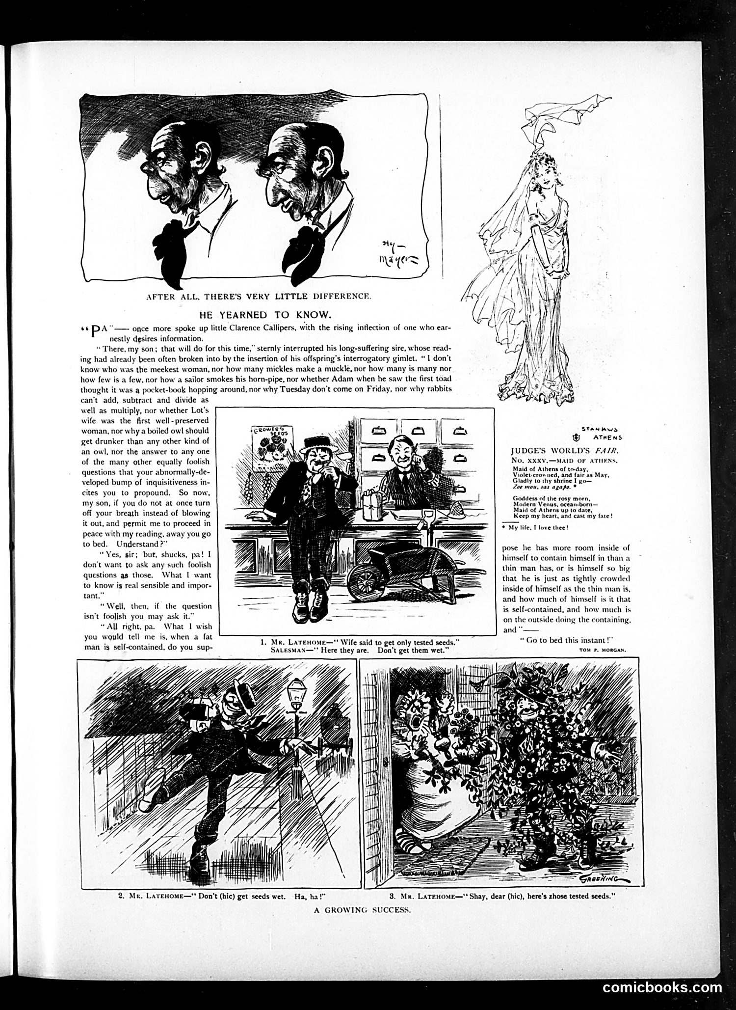 Judge — September 16, 1899 — page 5 of 16