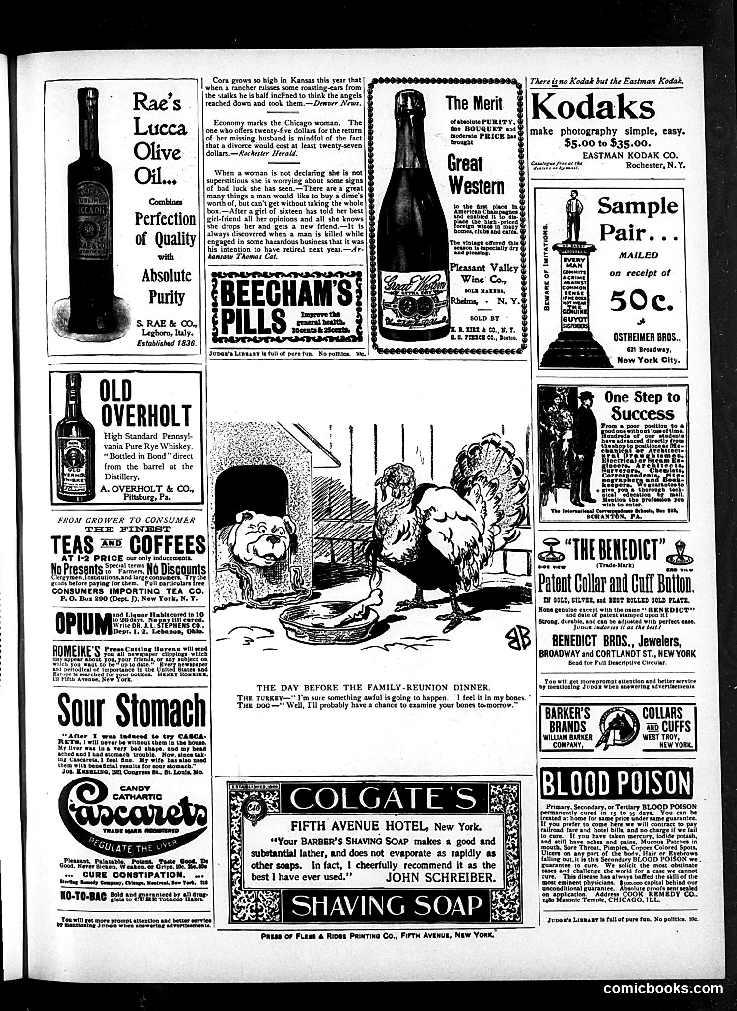 Judge — October 21, 1899 — page 15 of 16