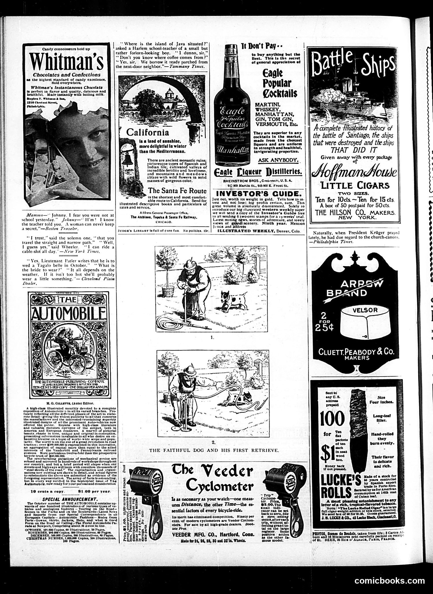 Judge — October 28, 1899 — page 14 of 16