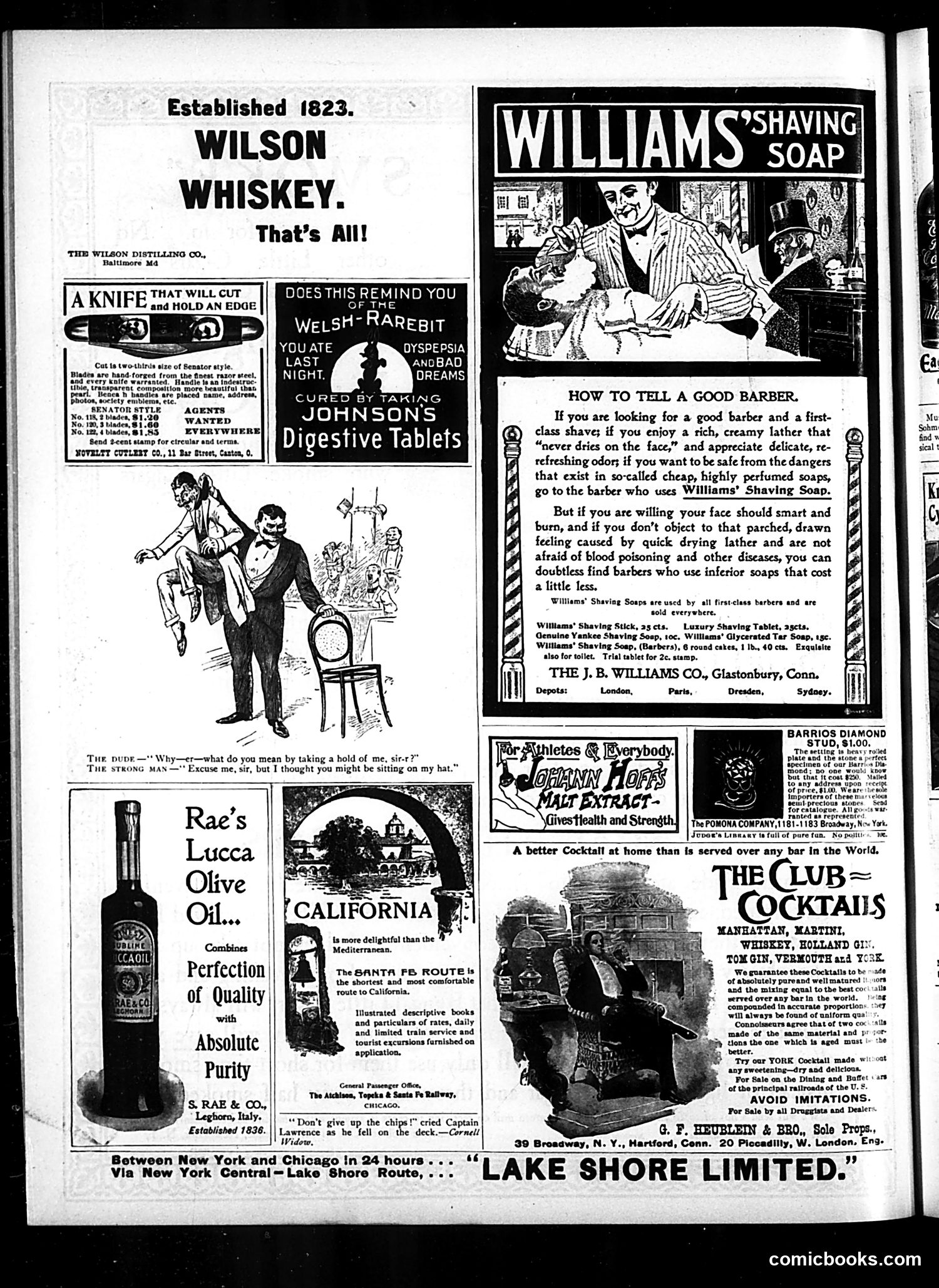 Judge — November 11, 1899 — page 12 of 16