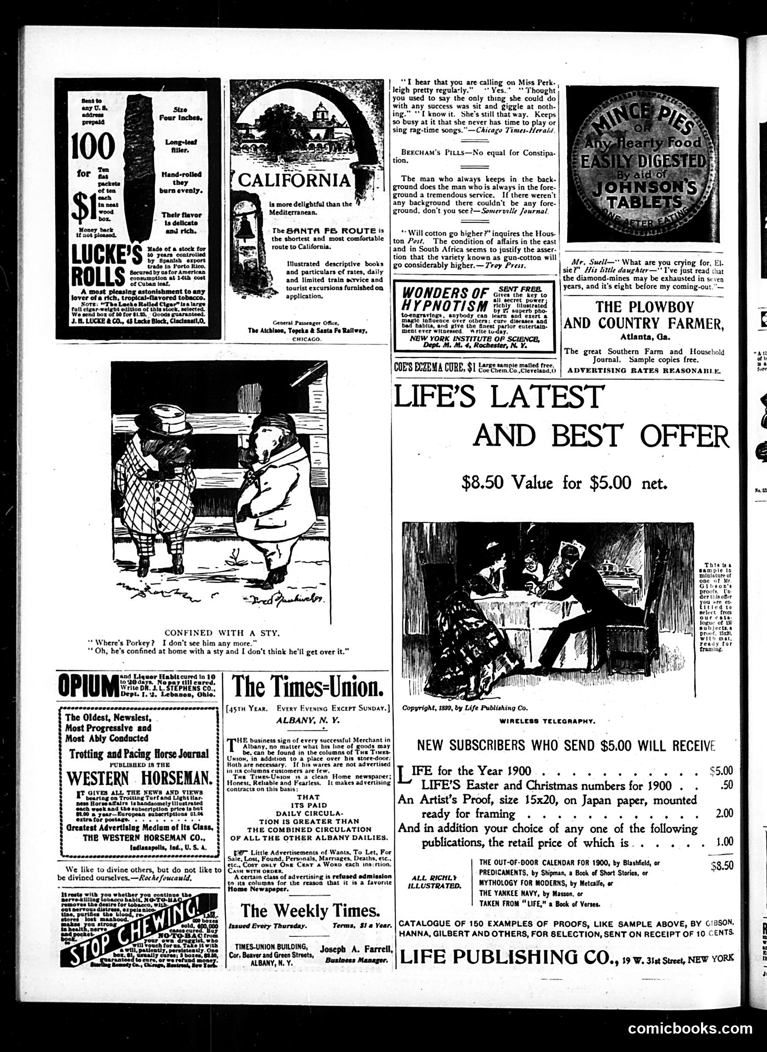 Judge — December 9, 1899 — page 14 of 16