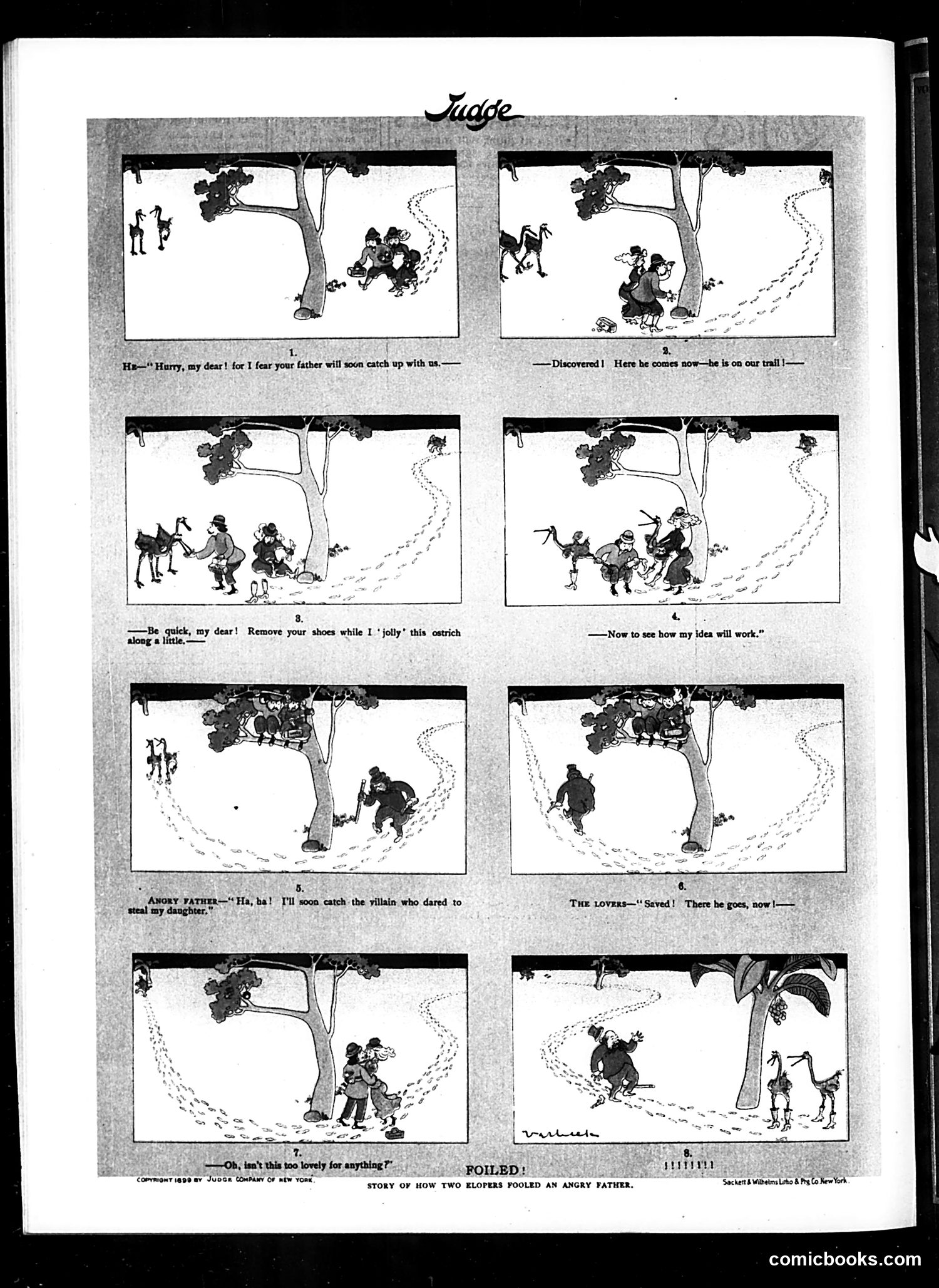 Judge — December 16, 1899 — page 16 of 16