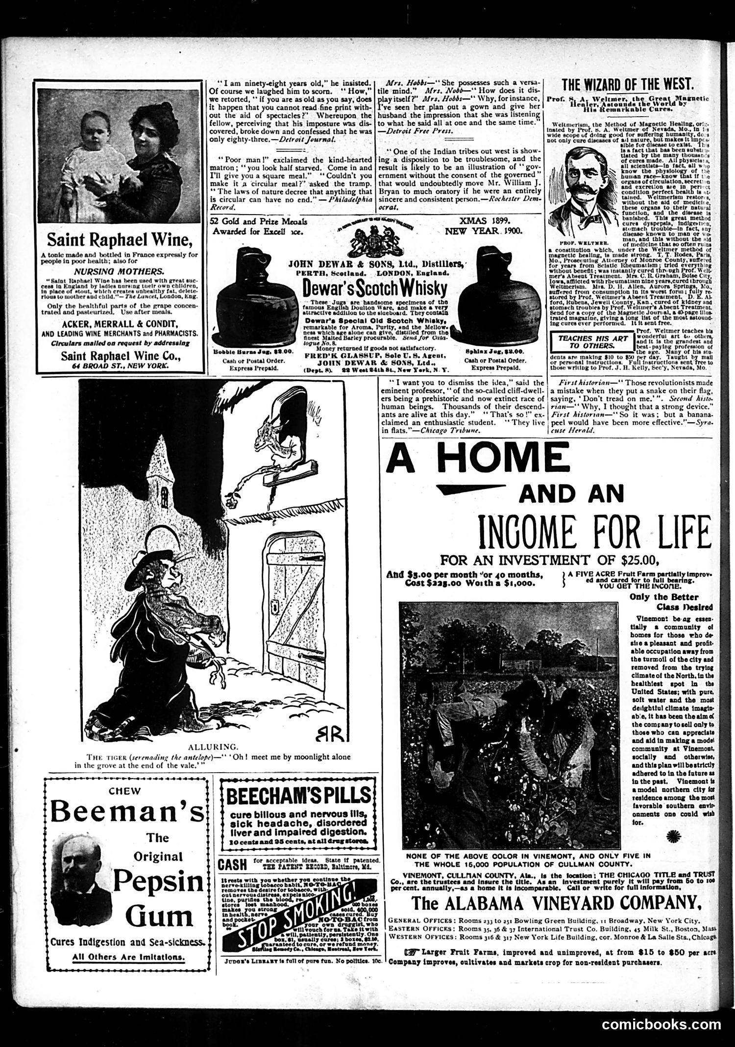 Judge — January 13, 1900 — page 14 of 16