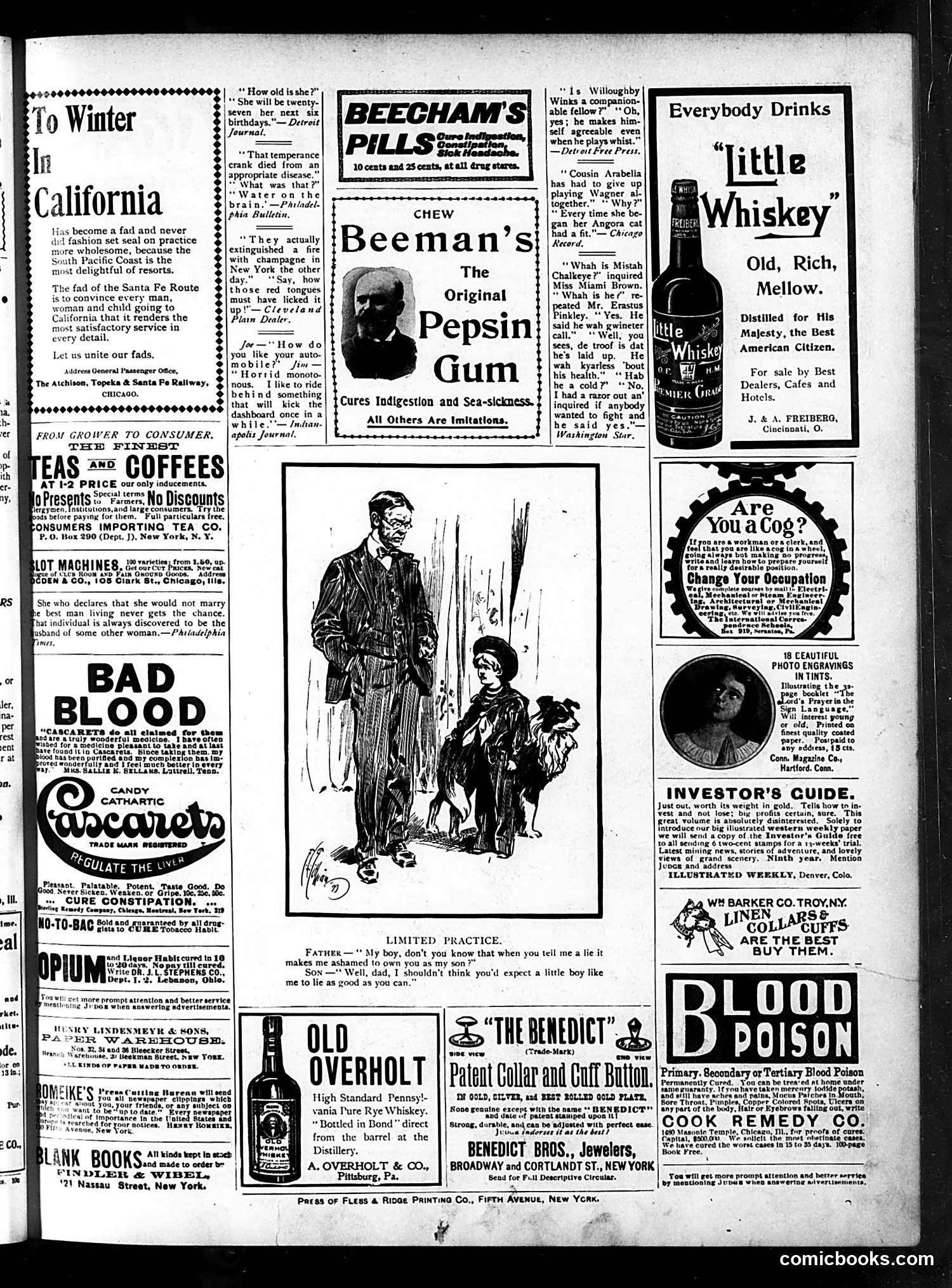 Judge — January 27, 1900 — page 15 of 16