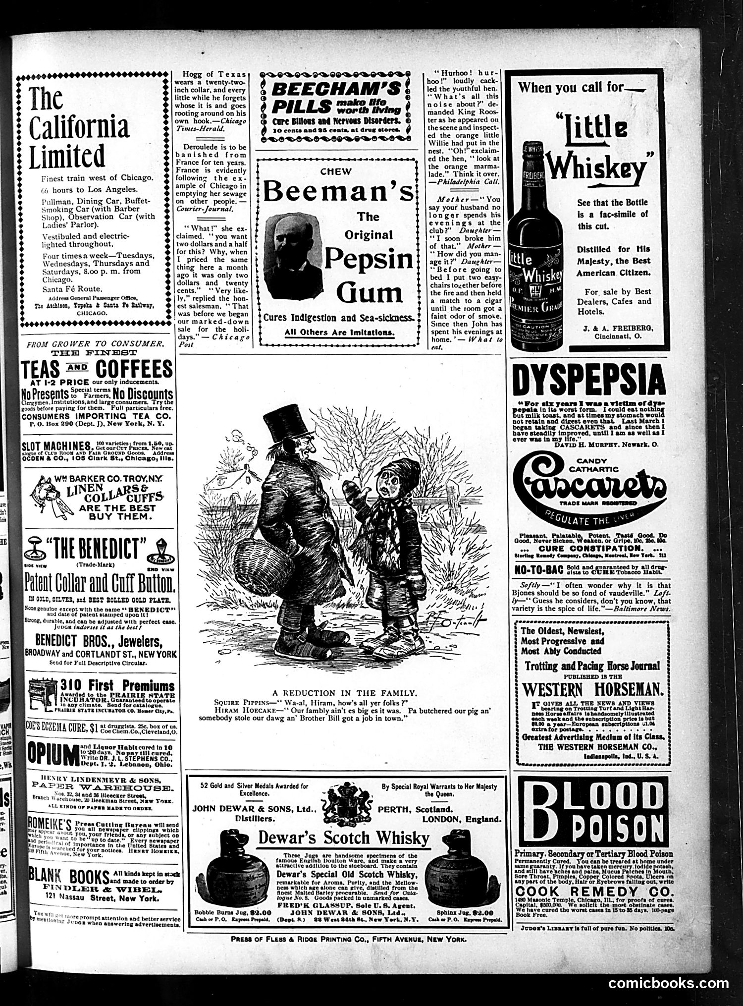 Judge — February 24, 1900 — page 15 of 16