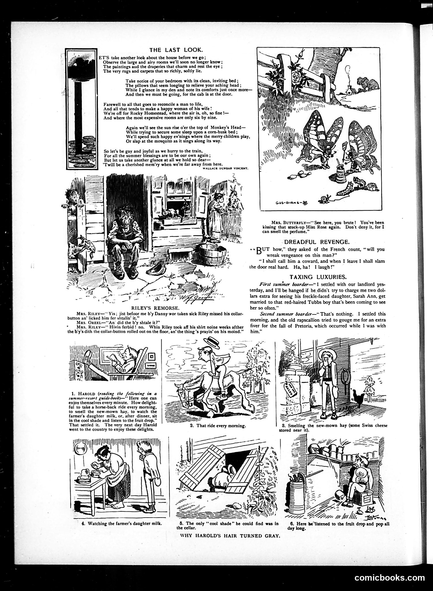 Judge — July 21, 1900 — page 6 of 18