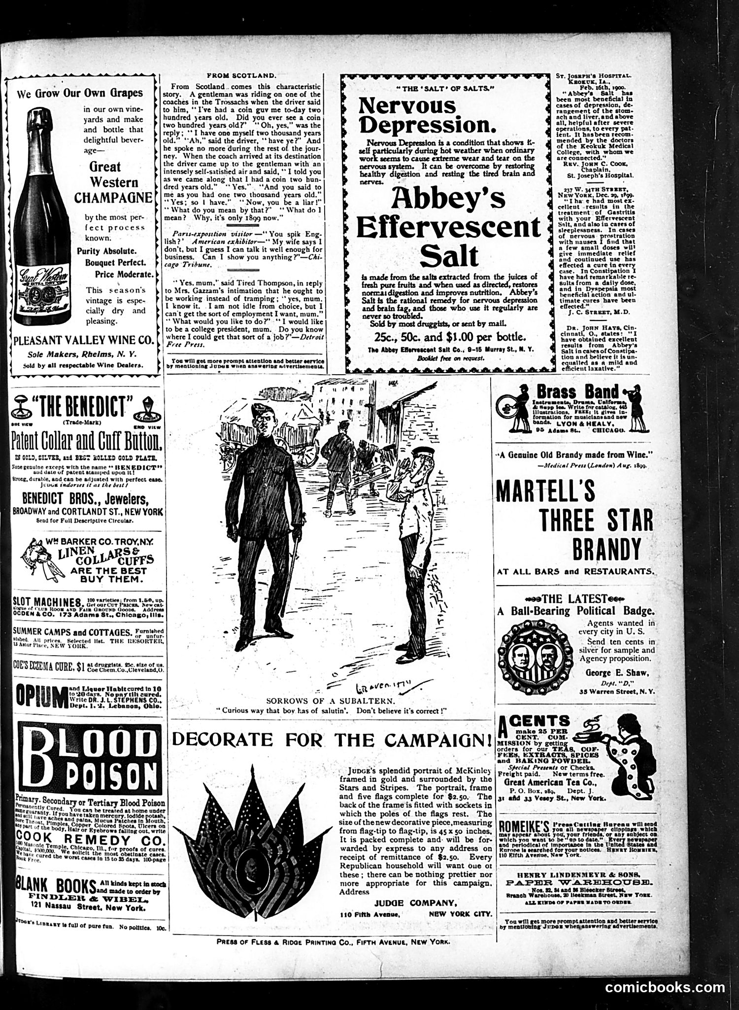 Judge — September 1, 1900 — page 15 of 16