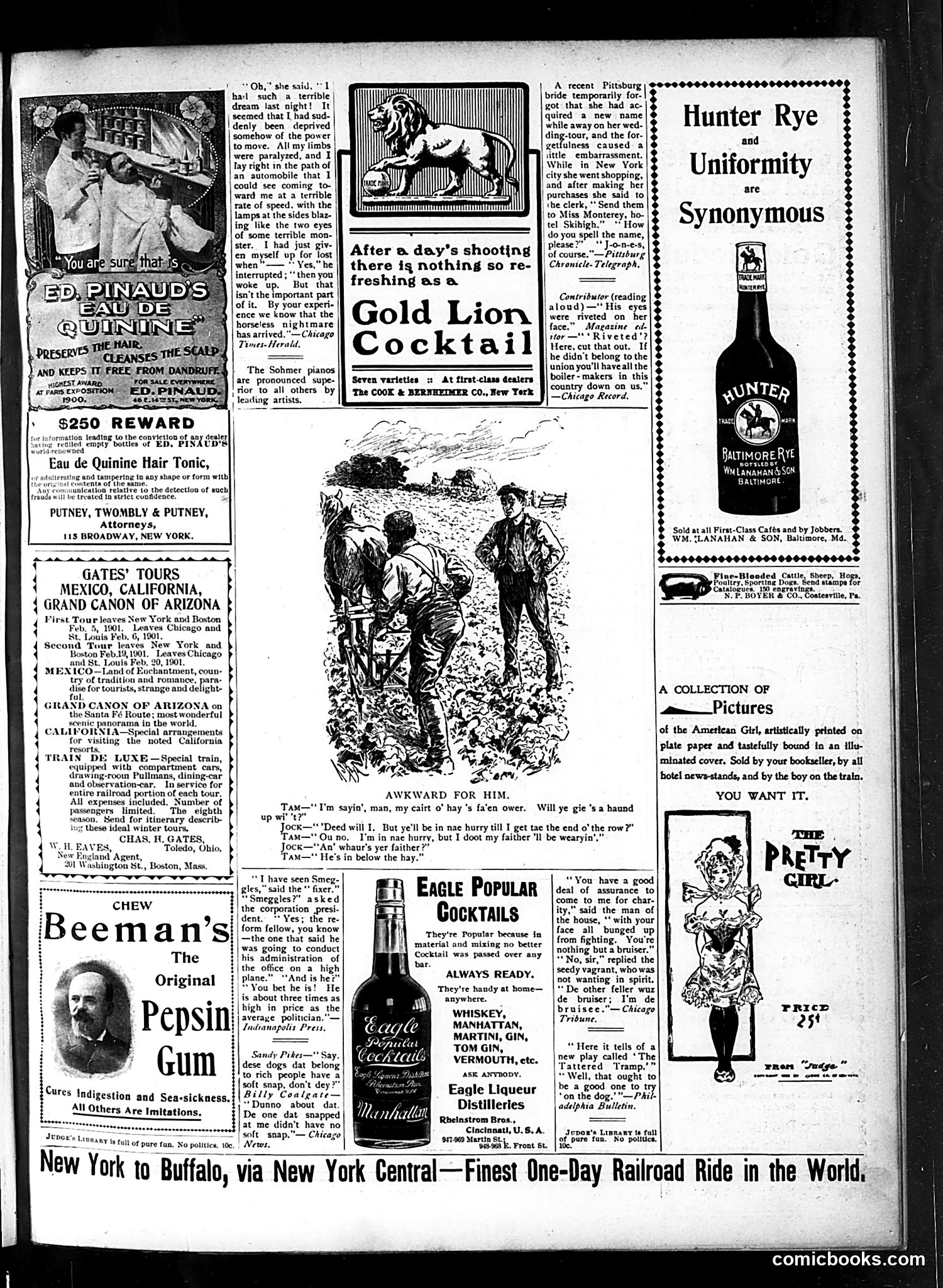 Judge — November 17, 1900 — page 13 of 16
