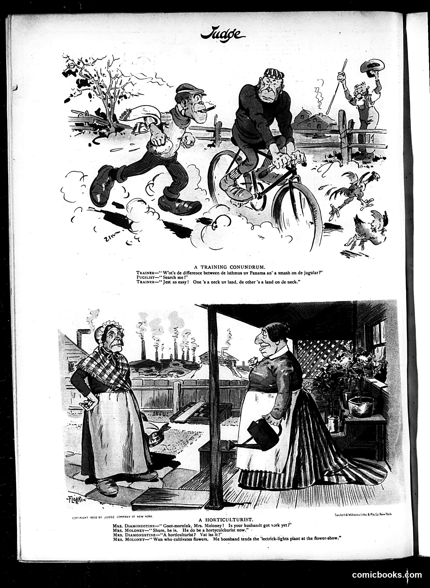 Judge — November 17, 1900 — page 16 of 16