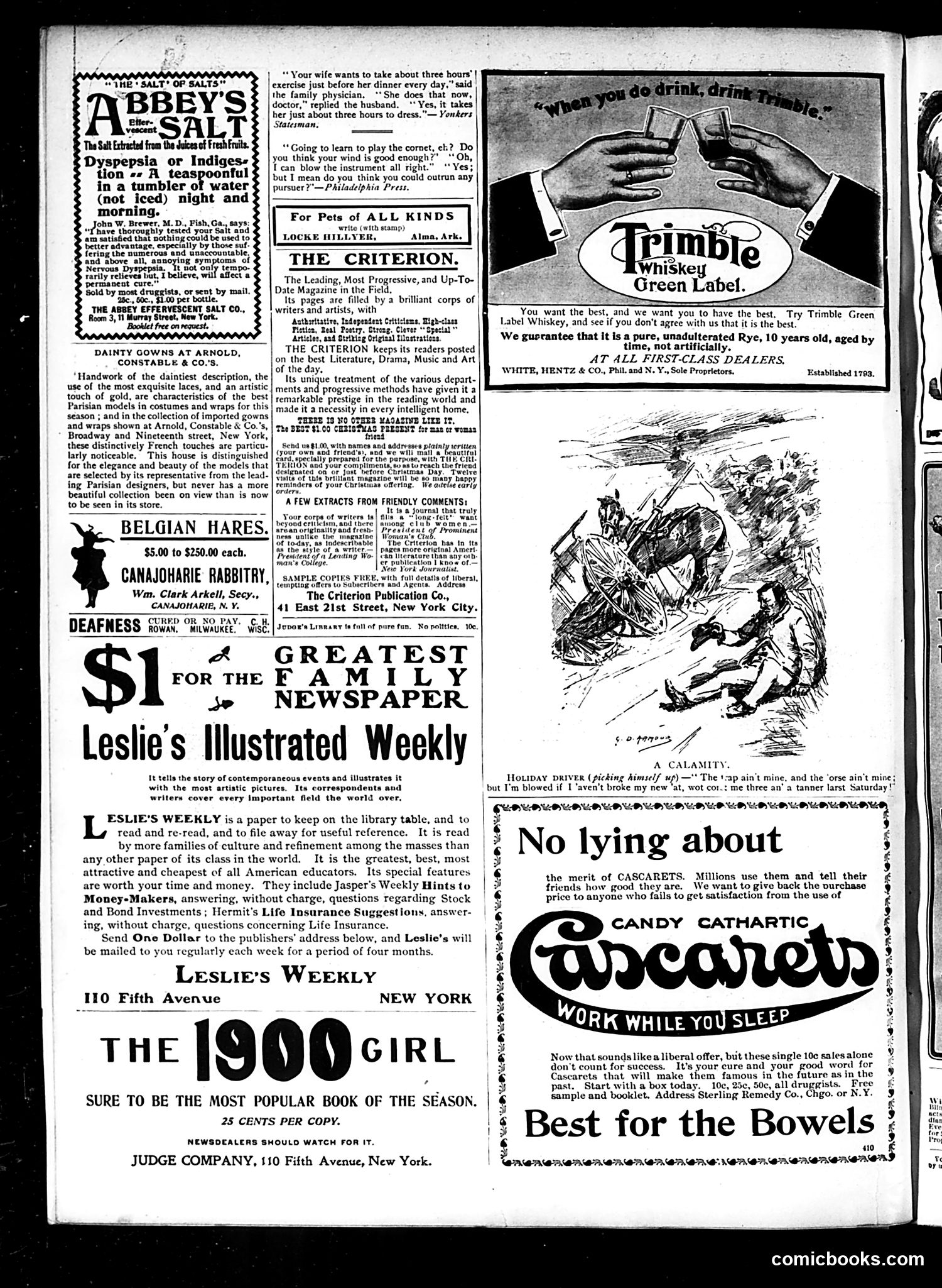 Judge — November 24, 1900 — page 14 of 16
