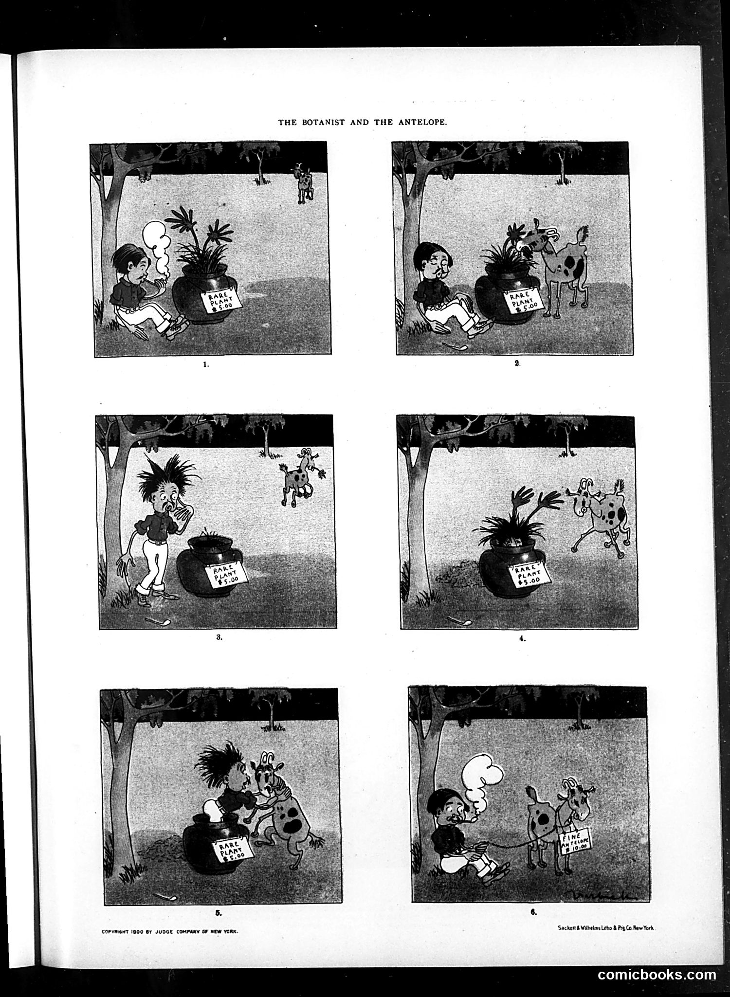 Judge — December 22, 1900 — page 11 of 48