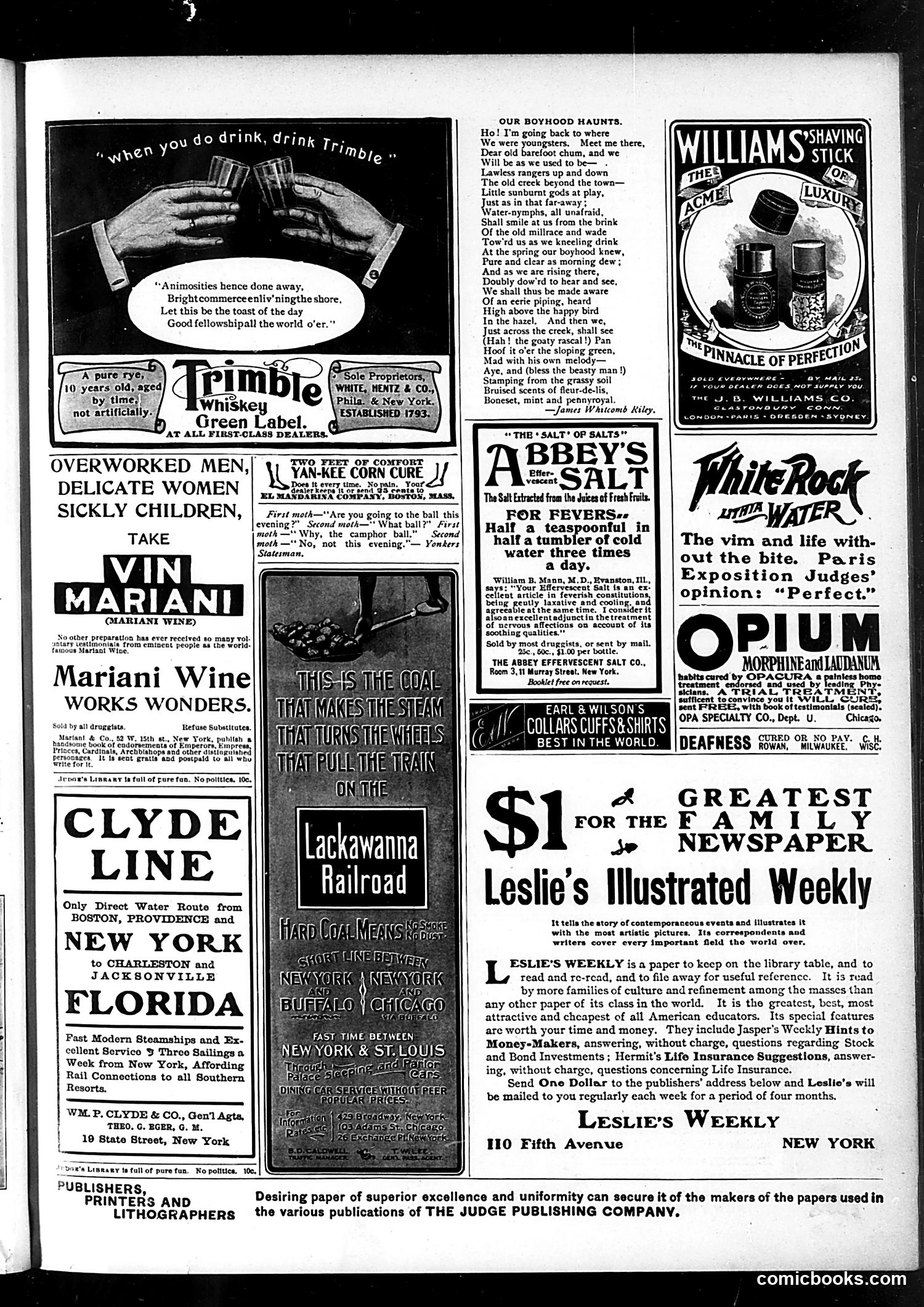 Judge — January 5, 1901 — page 13 of 16