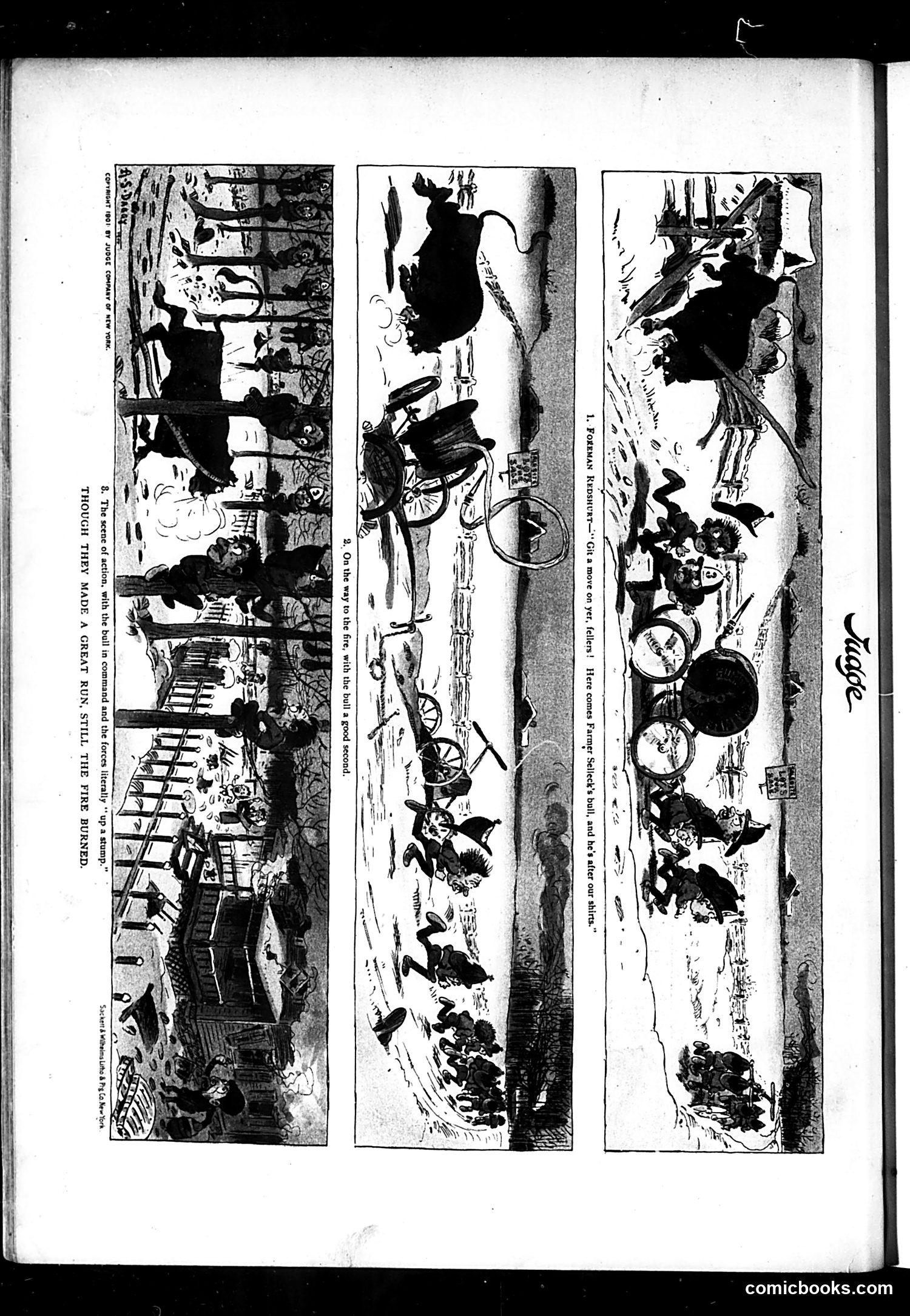Judge — January 12, 1901 — page 16 of 16