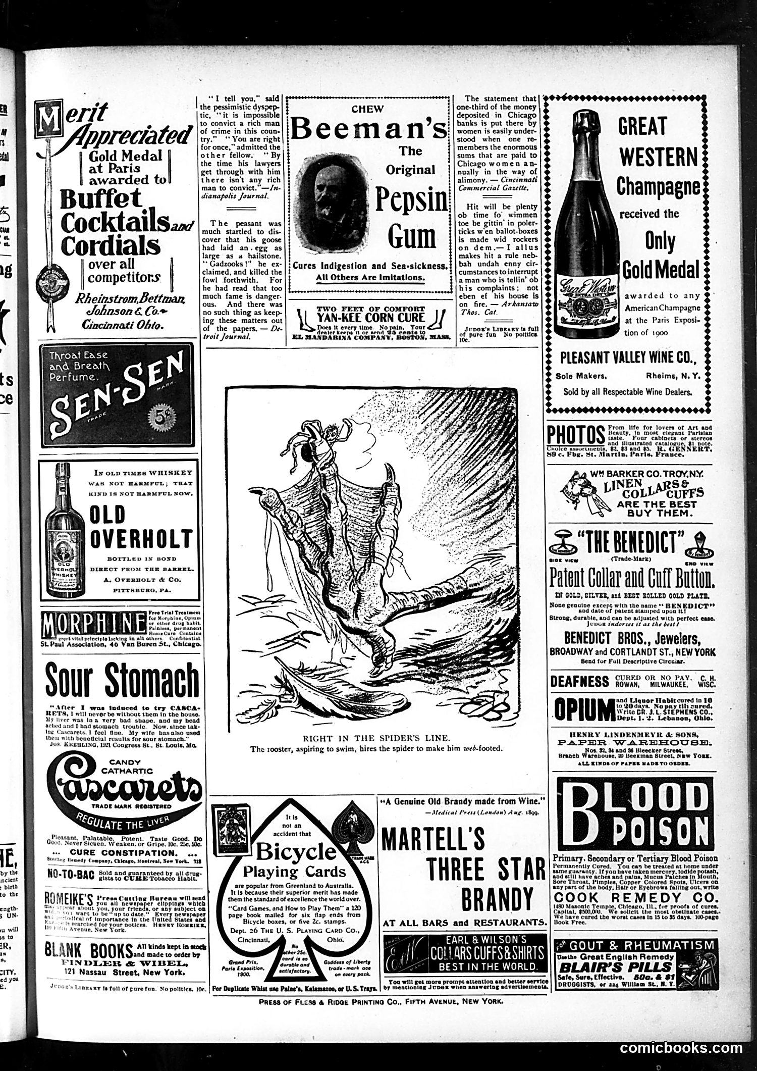 Judge — January 26, 1901 — page 15 of 16