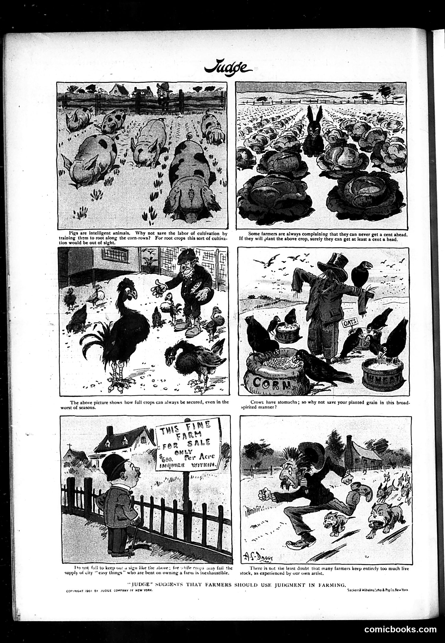 Judge — January 26, 1901 — page 16 of 16
