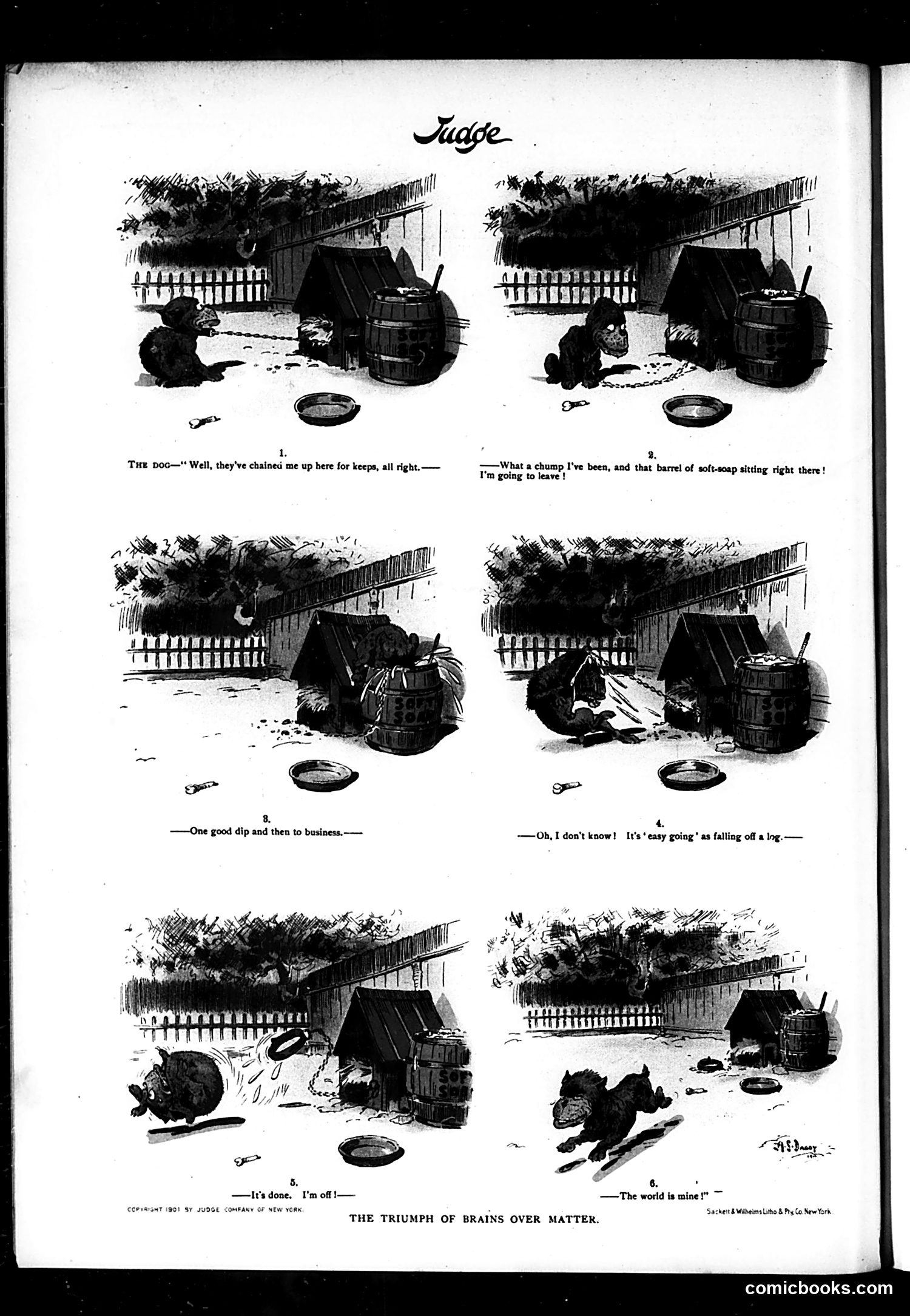 Judge — February 2, 1901 — page 16 of 16
