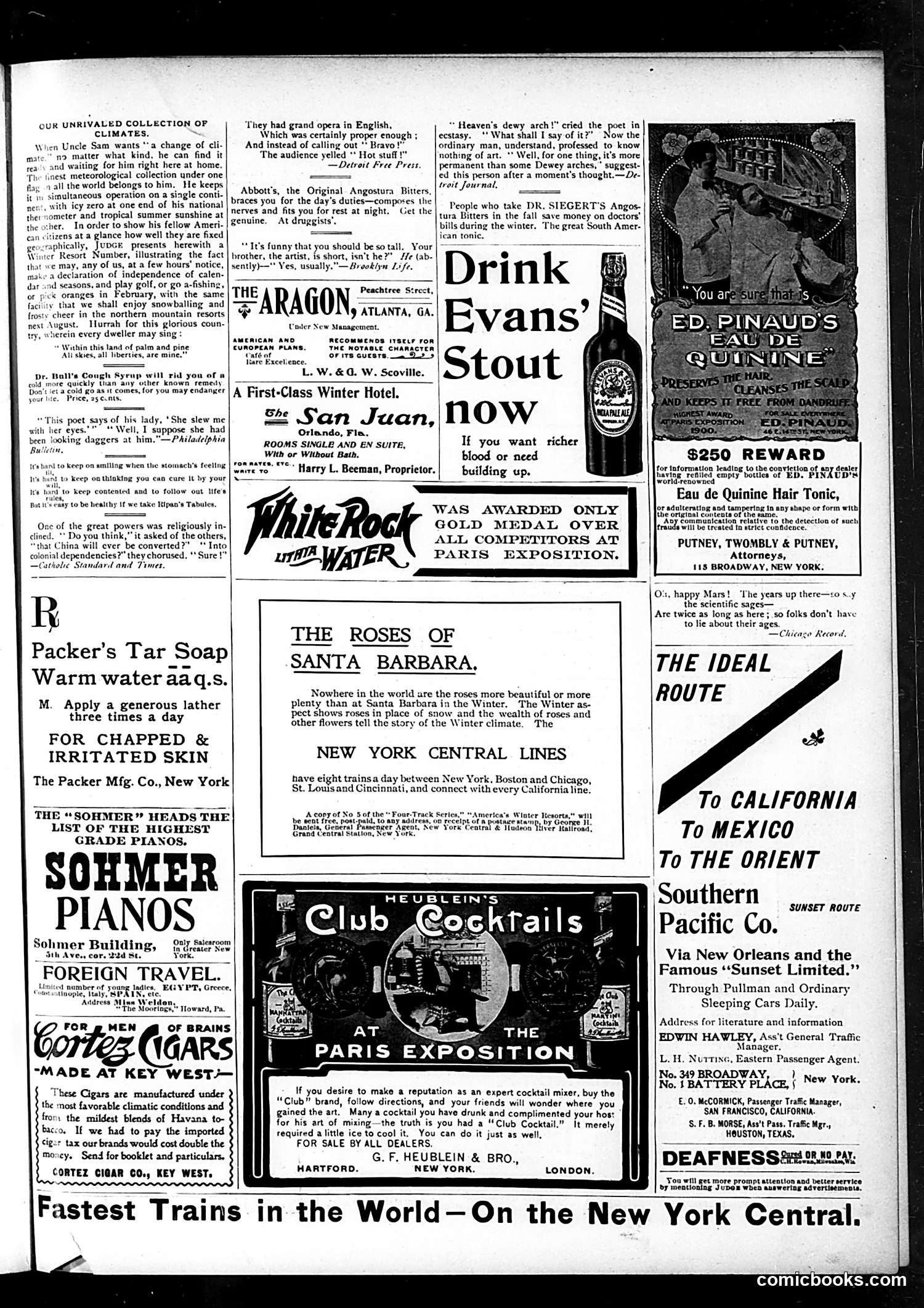 Judge — February 9, 1901 — page 11 of 16
