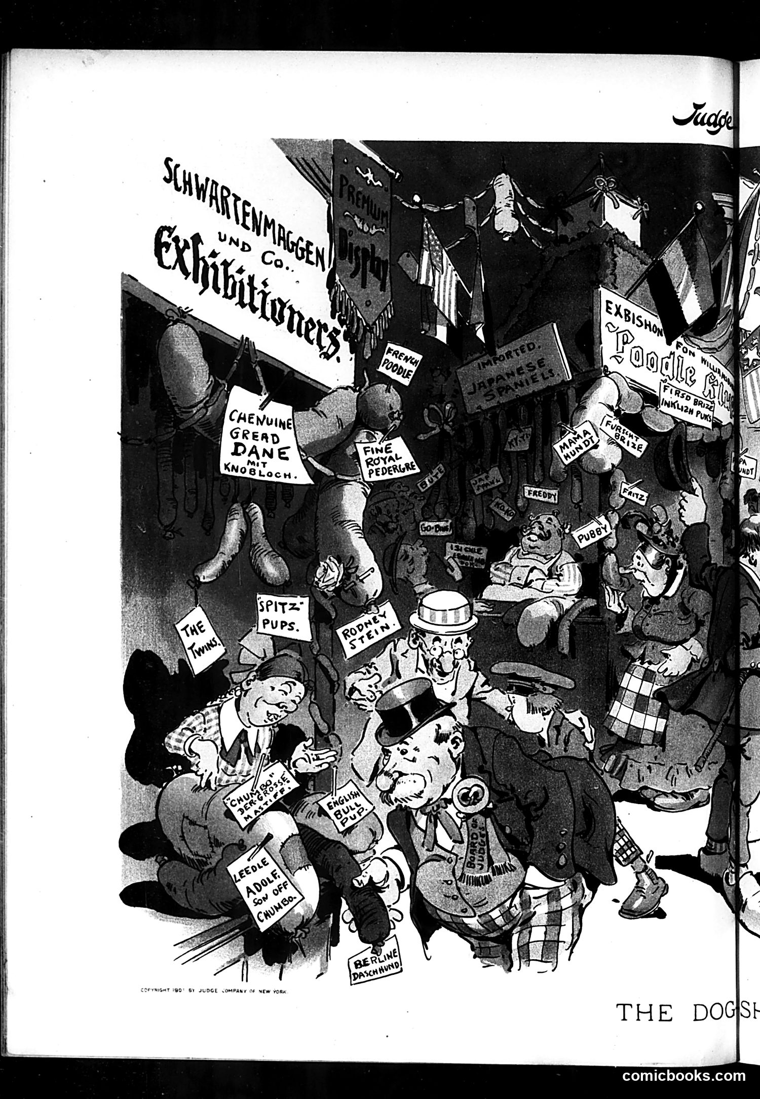 Judge — February 23, 1901 — page 8 of 16
