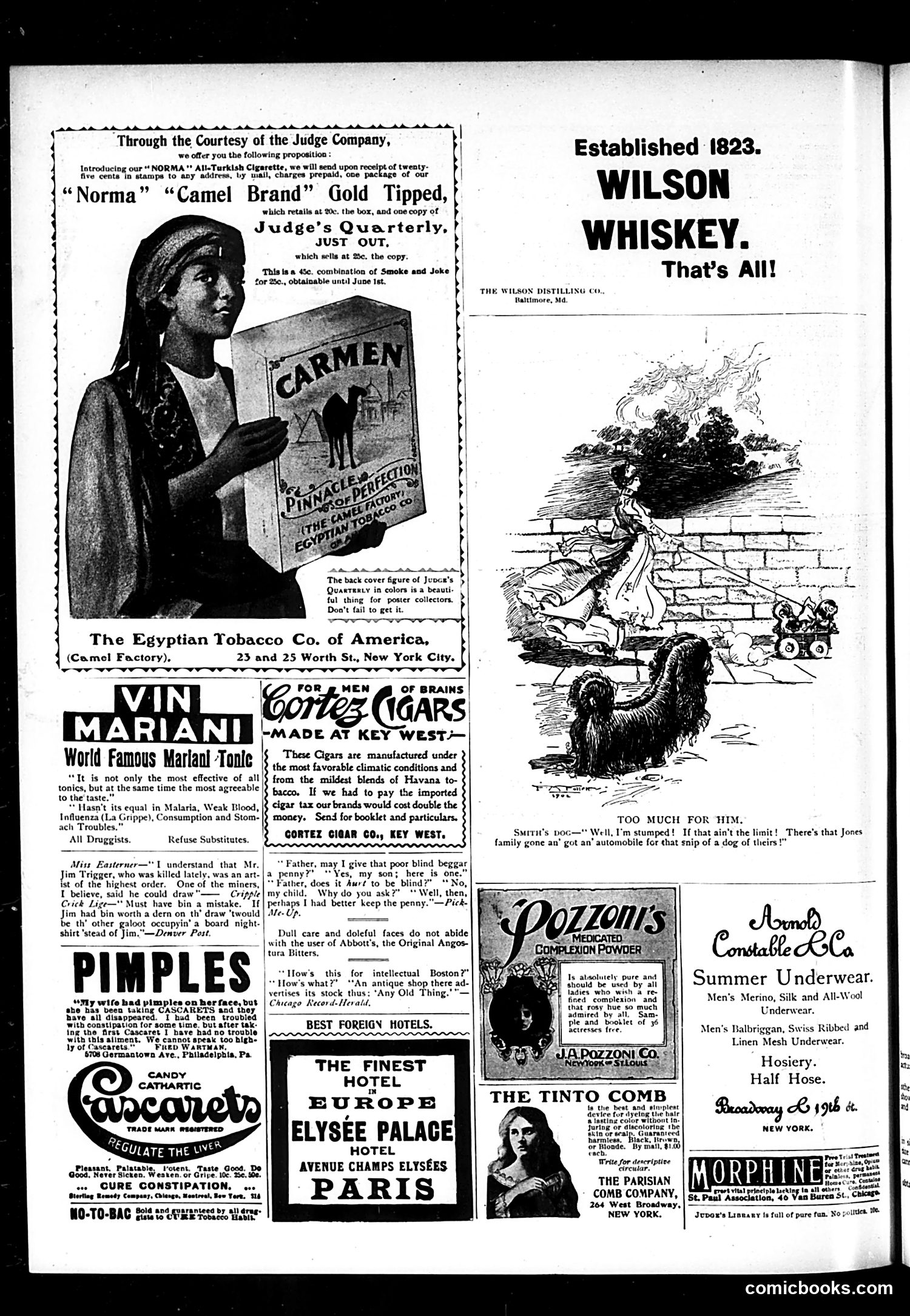 Judge — May 18, 1901 — page 12 of 16