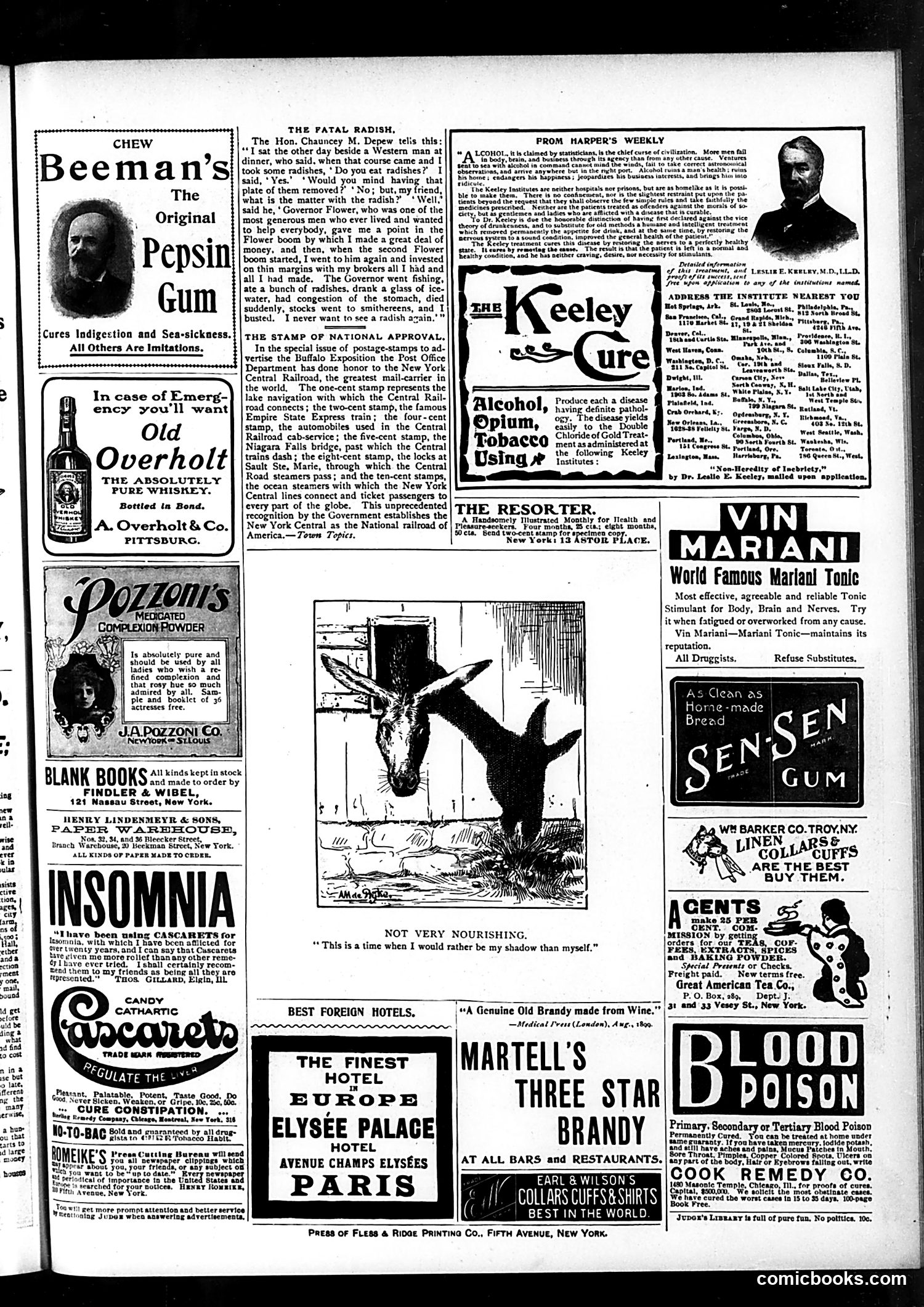 Judge — June 15, 1901 — page 15 of 16