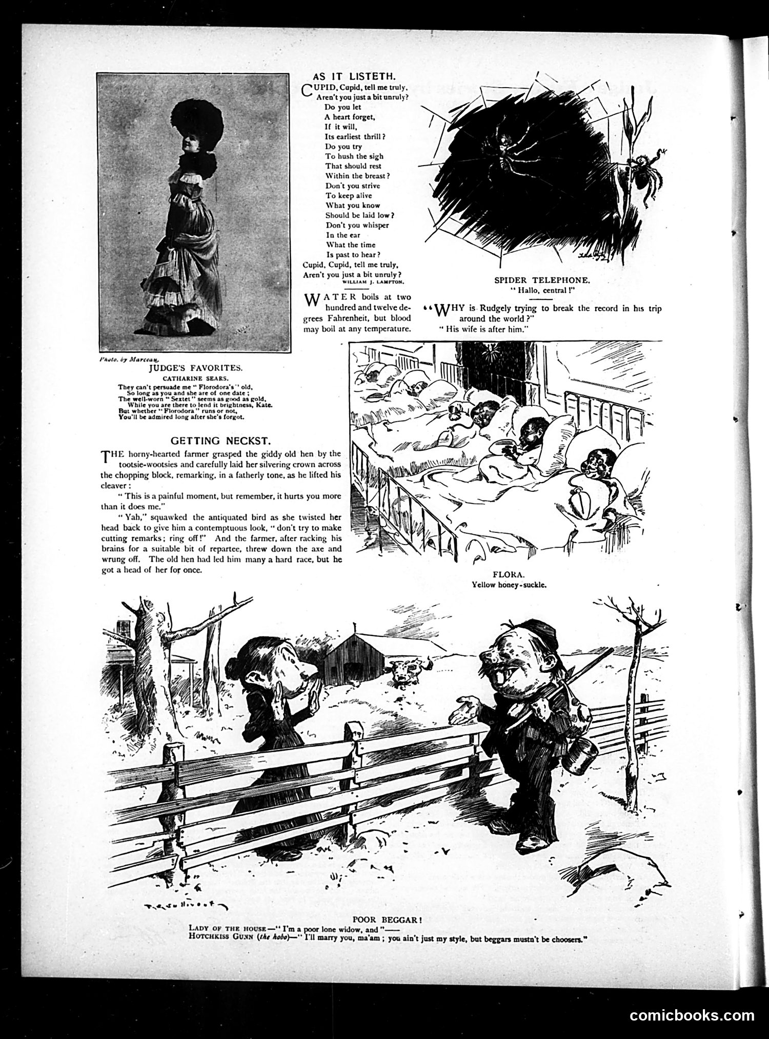 Judge — August 17, 1901 — page 4 of 16