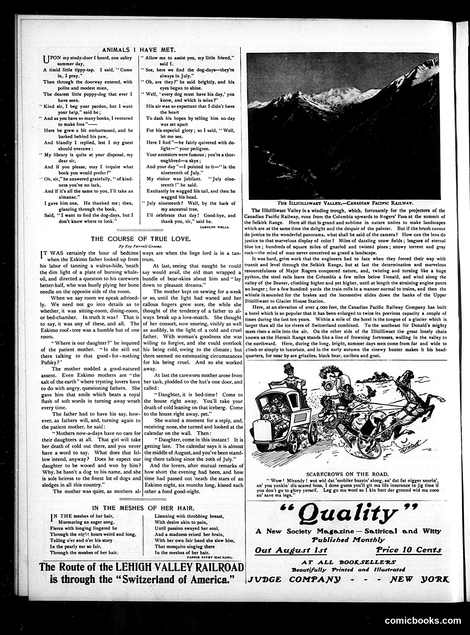 Judge — August 17, 1901 — page 14 of 16