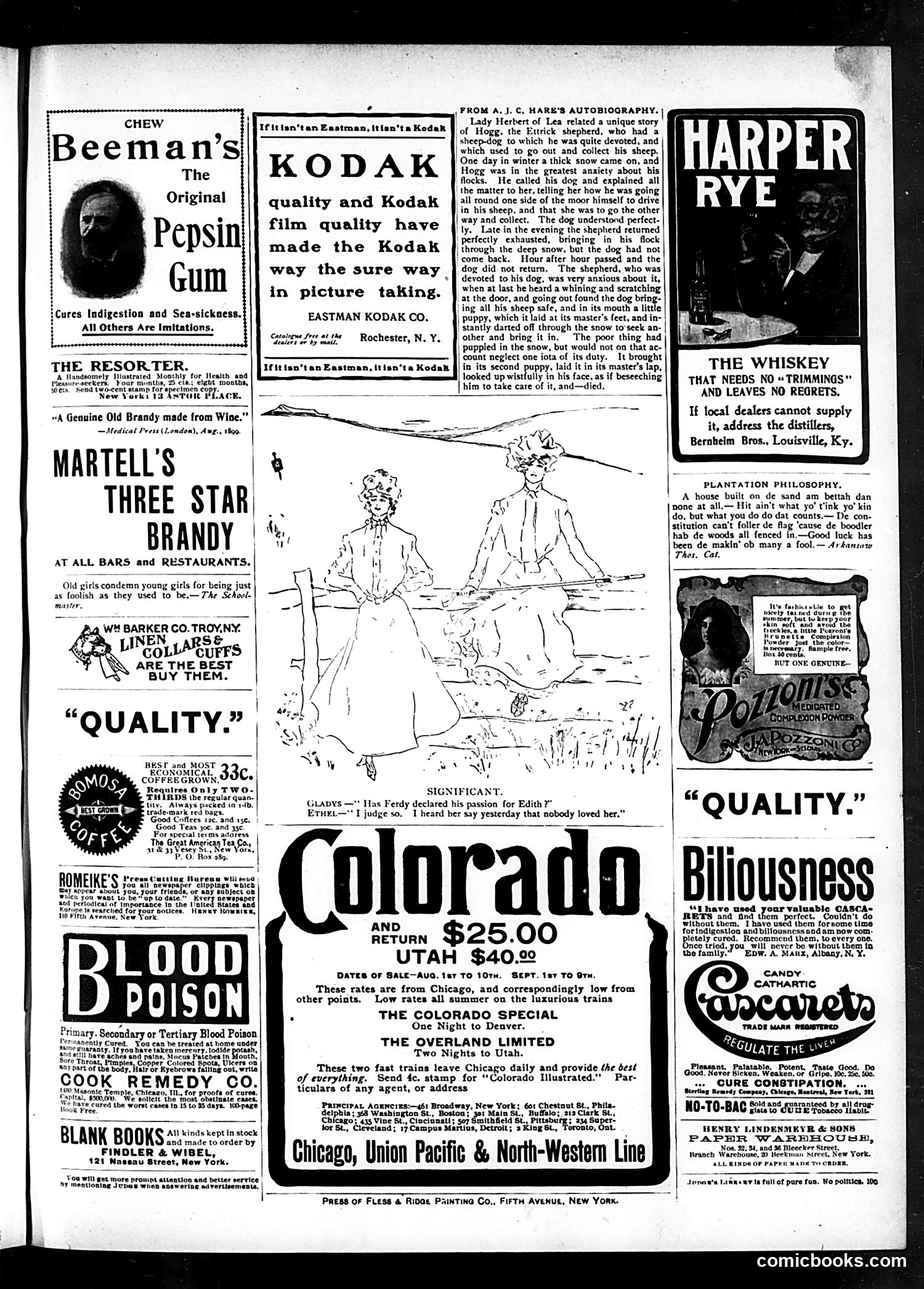 Judge — August 24, 1901 — page 15 of 16