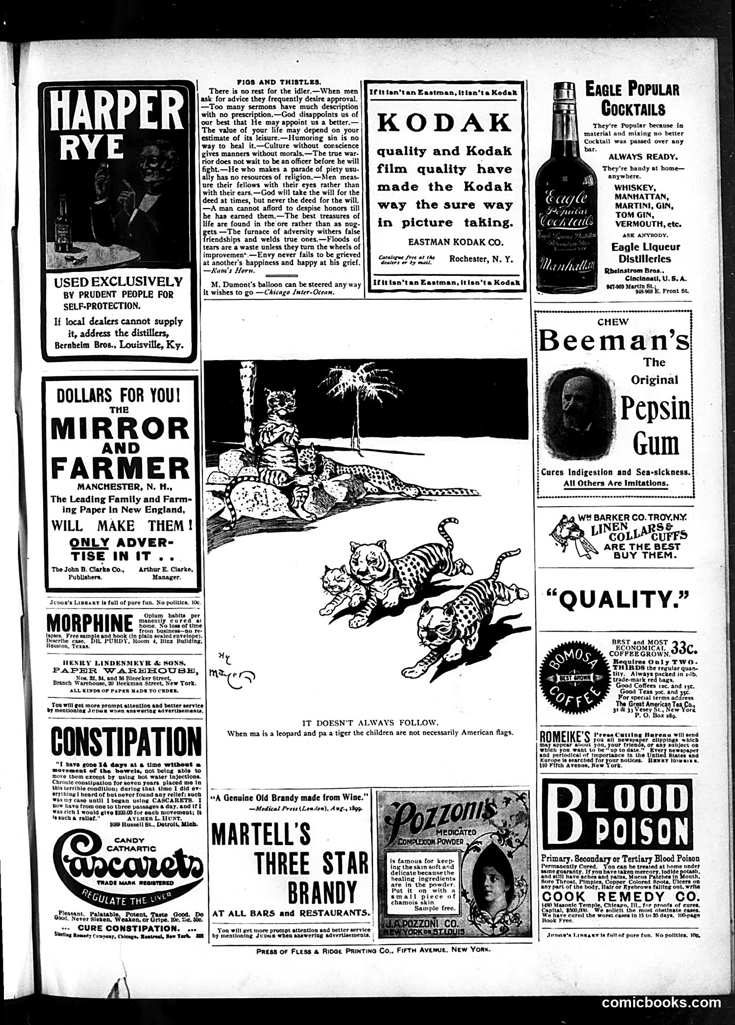 Judge — September 7, 1901 — page 17 of 20