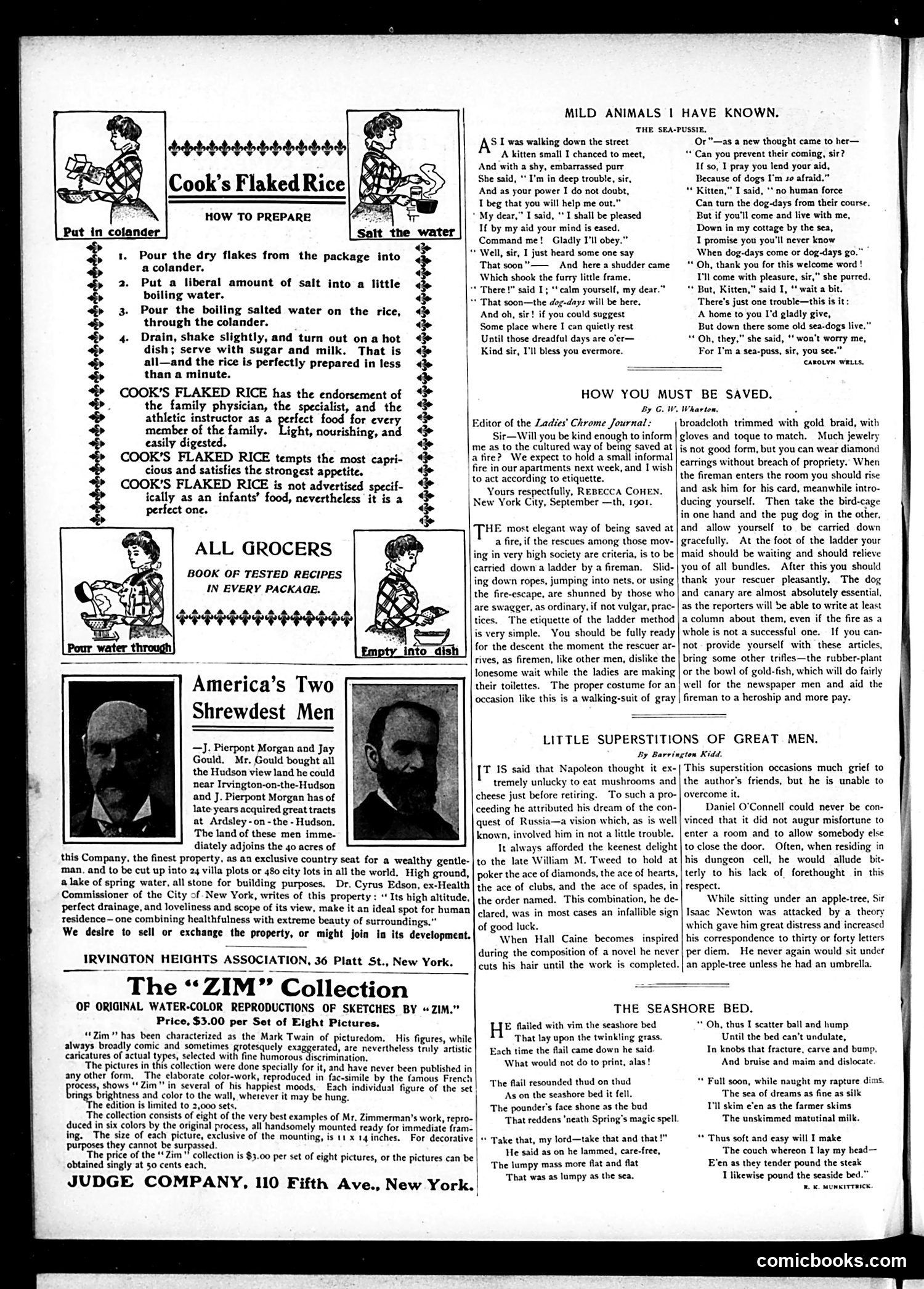 Judge — September 21, 1901 — page 14 of 22