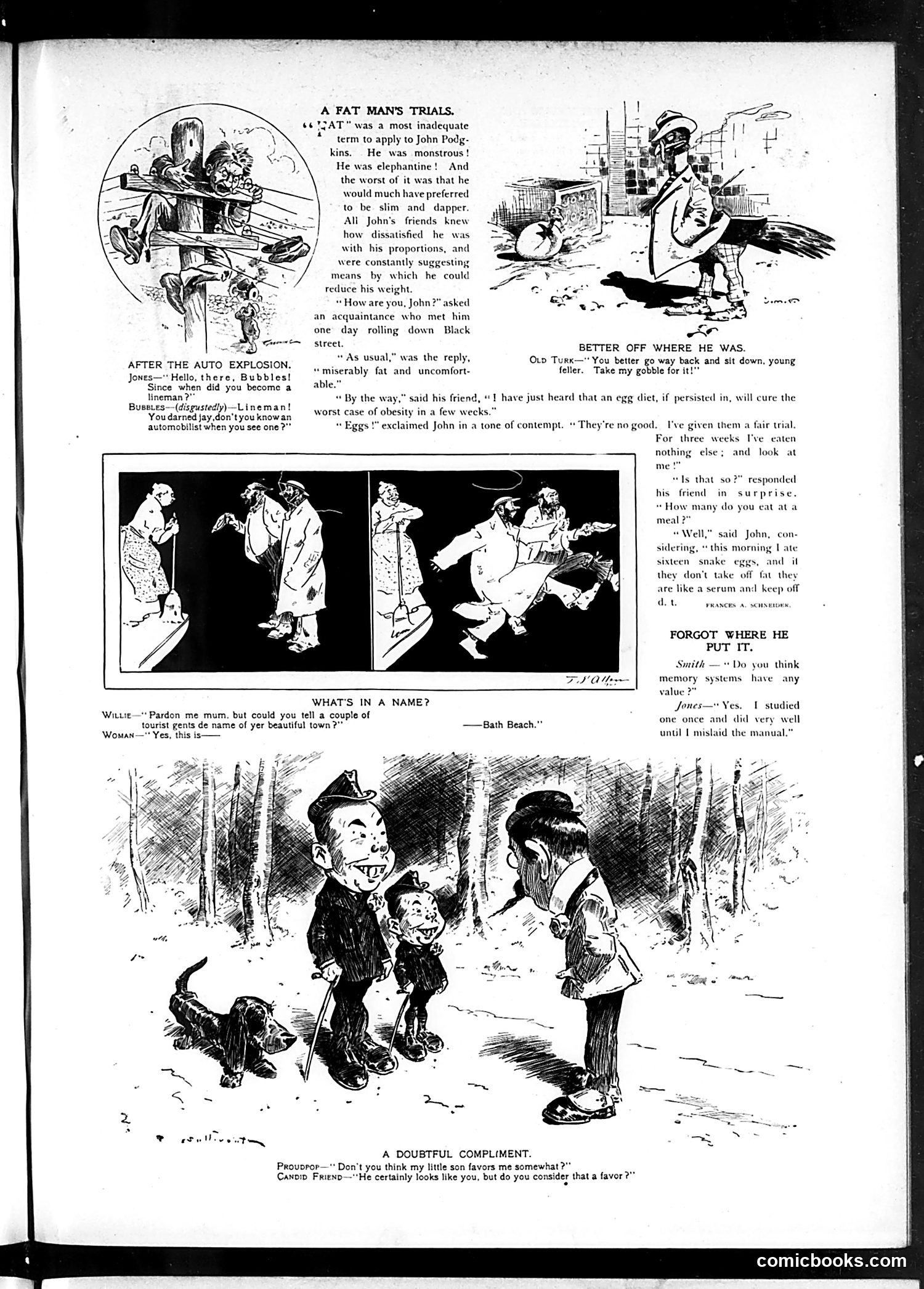 Judge — November 9, 1901 — page 3 of 16