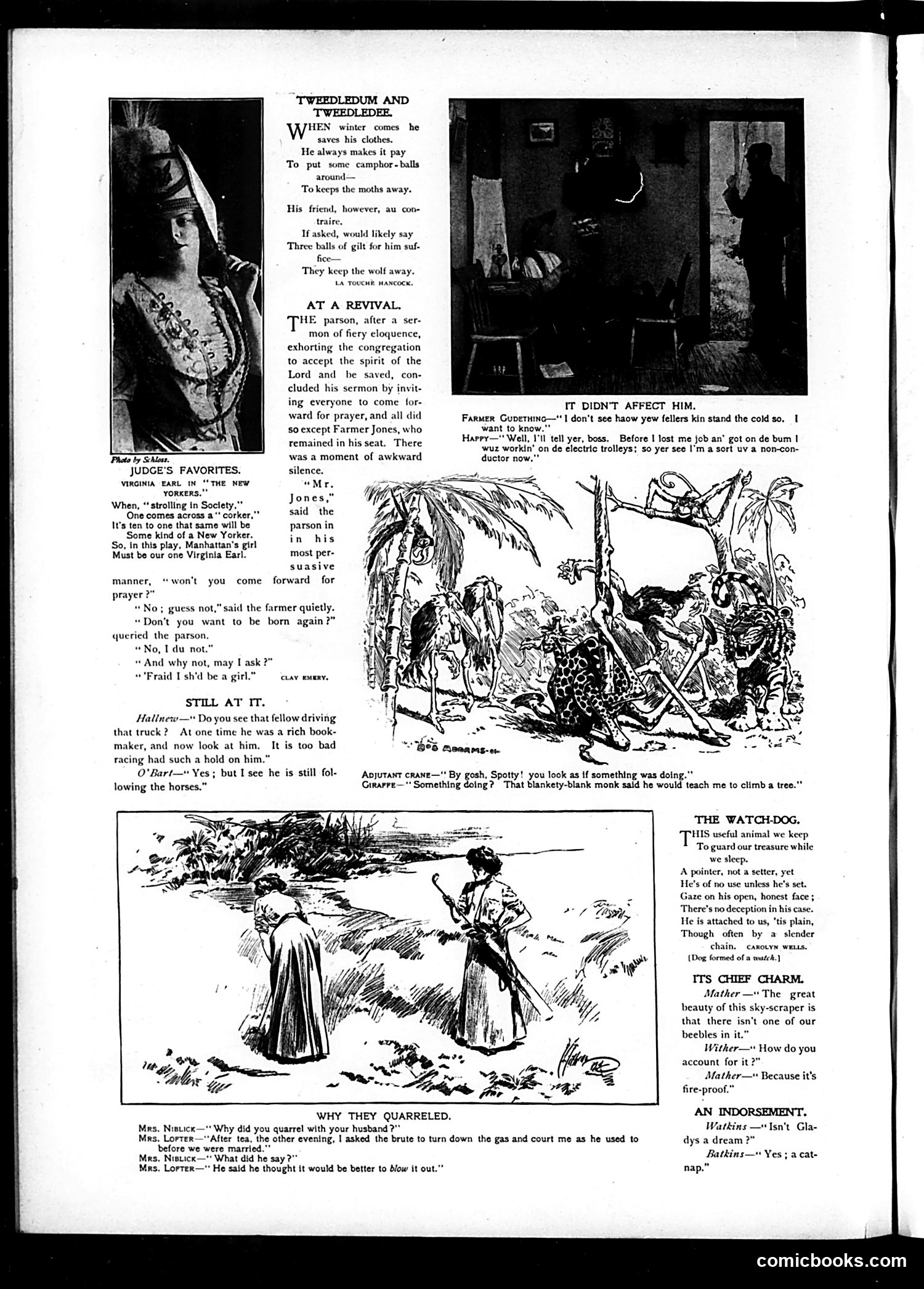 Judge — November 9, 1901 — page 4 of 16
