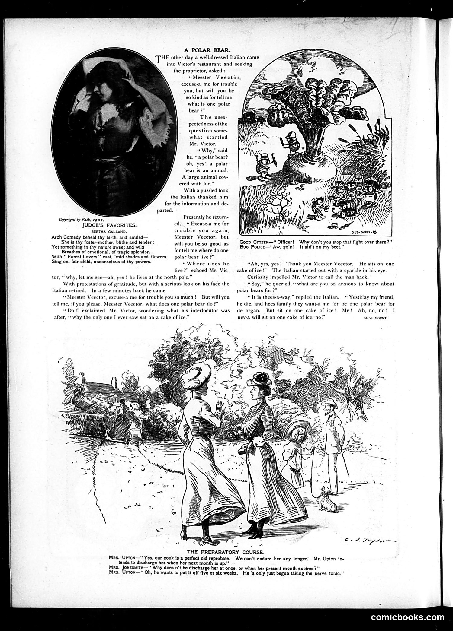 Judge — November 16, 1901 — page 4 of 16