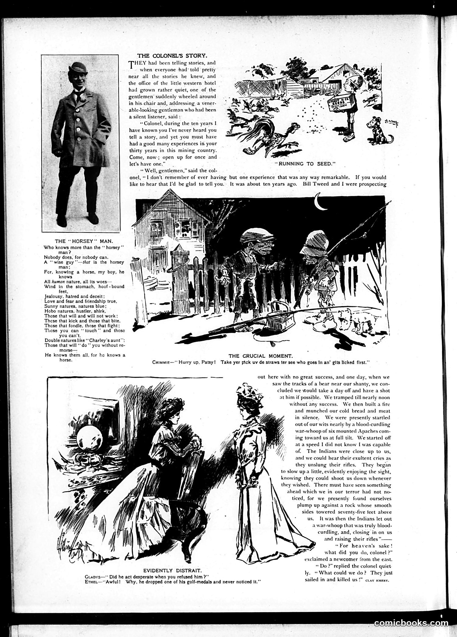 Judge — November 16, 1901 — page 6 of 16